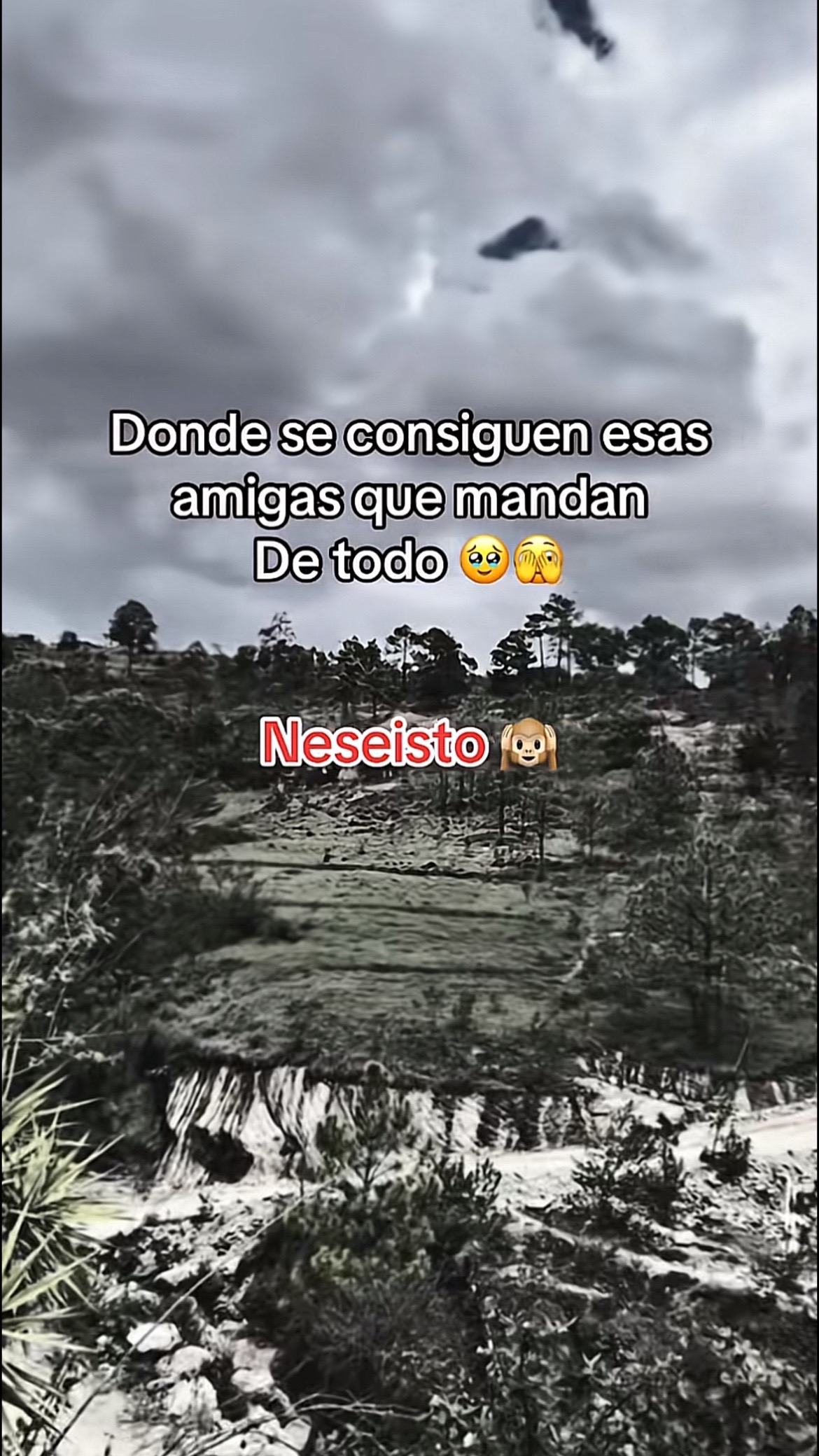 @moisescruz1638
