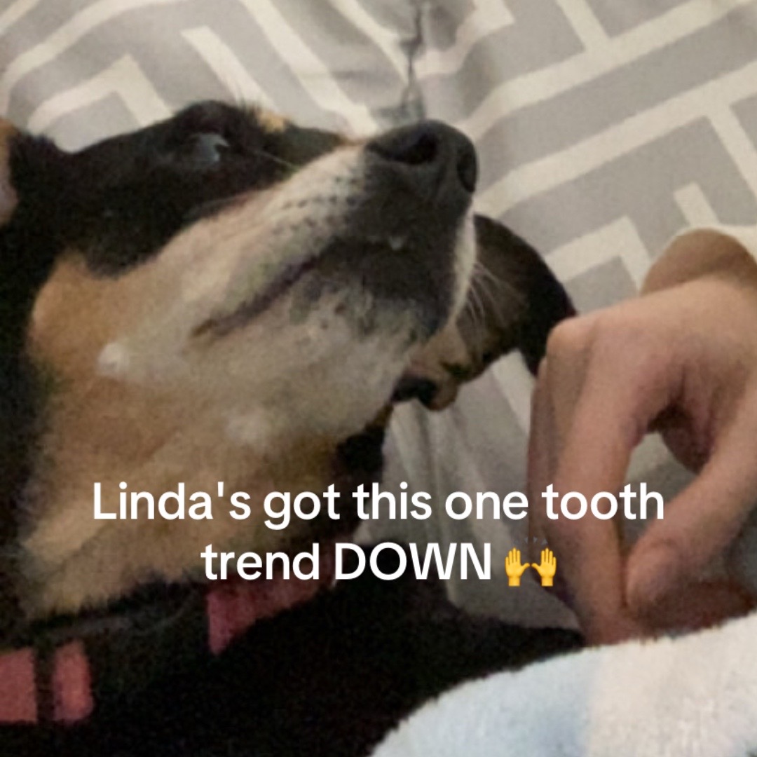 @Linda Longnips