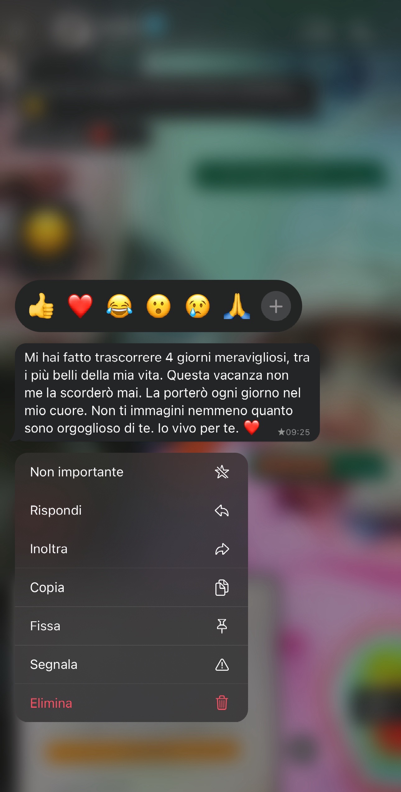 @doroteacorsi_