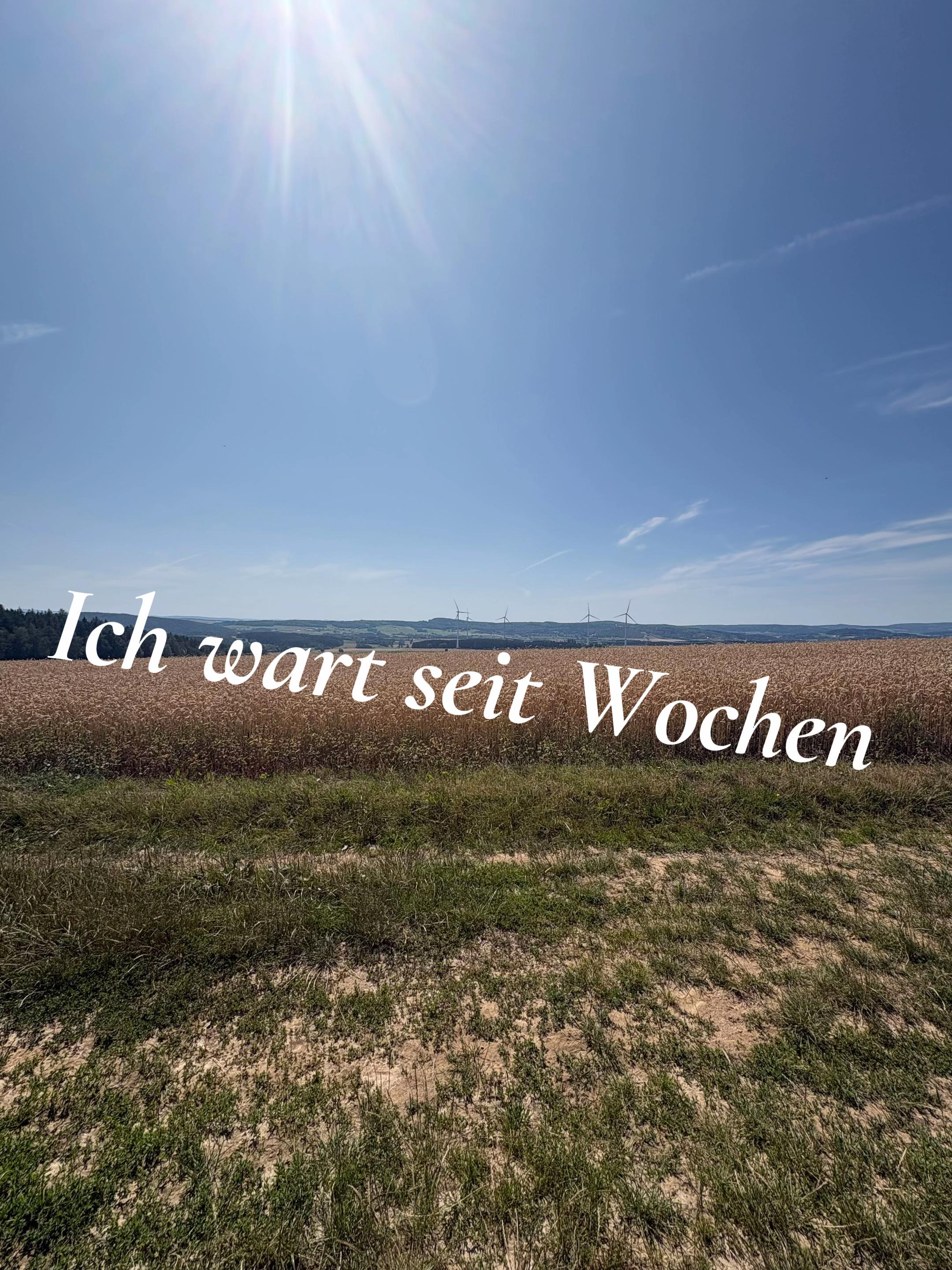 @Jonasgxll