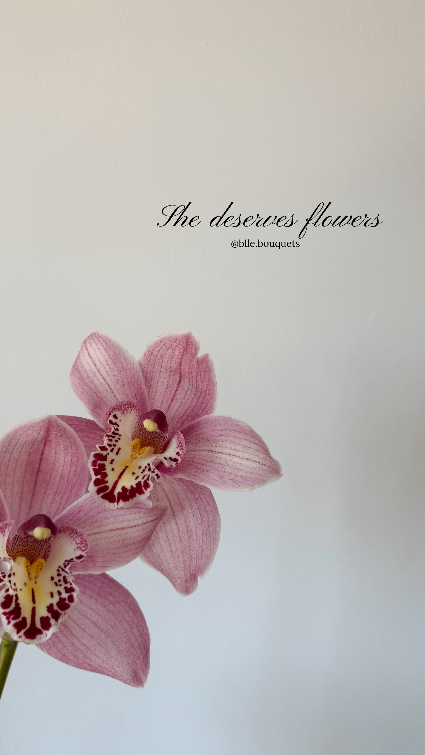 @Belle Bouquets