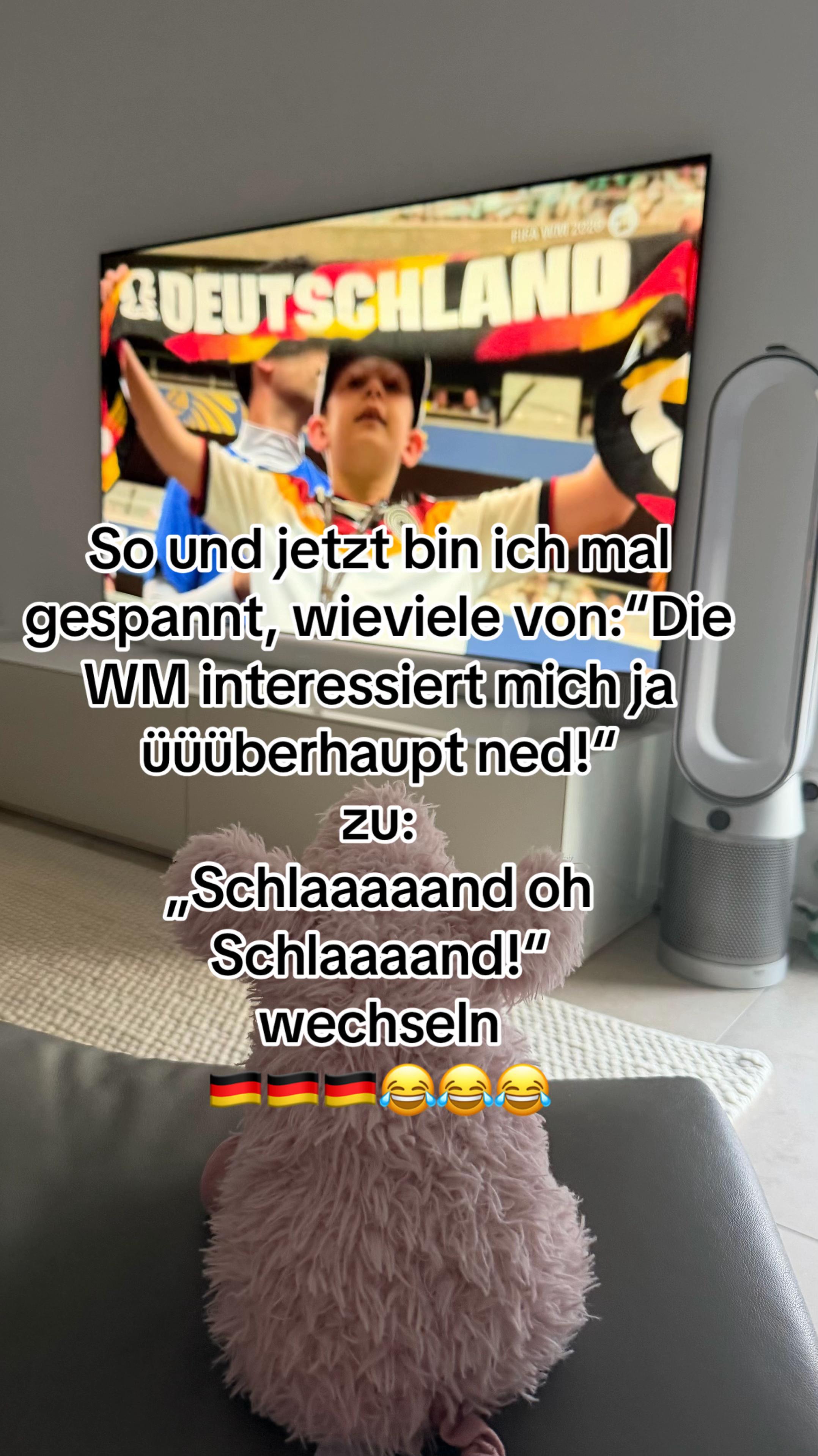 @schwabentine