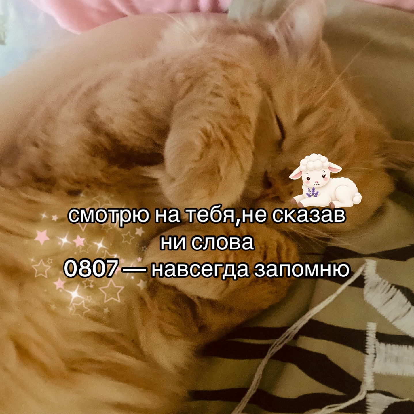 @соня дрель