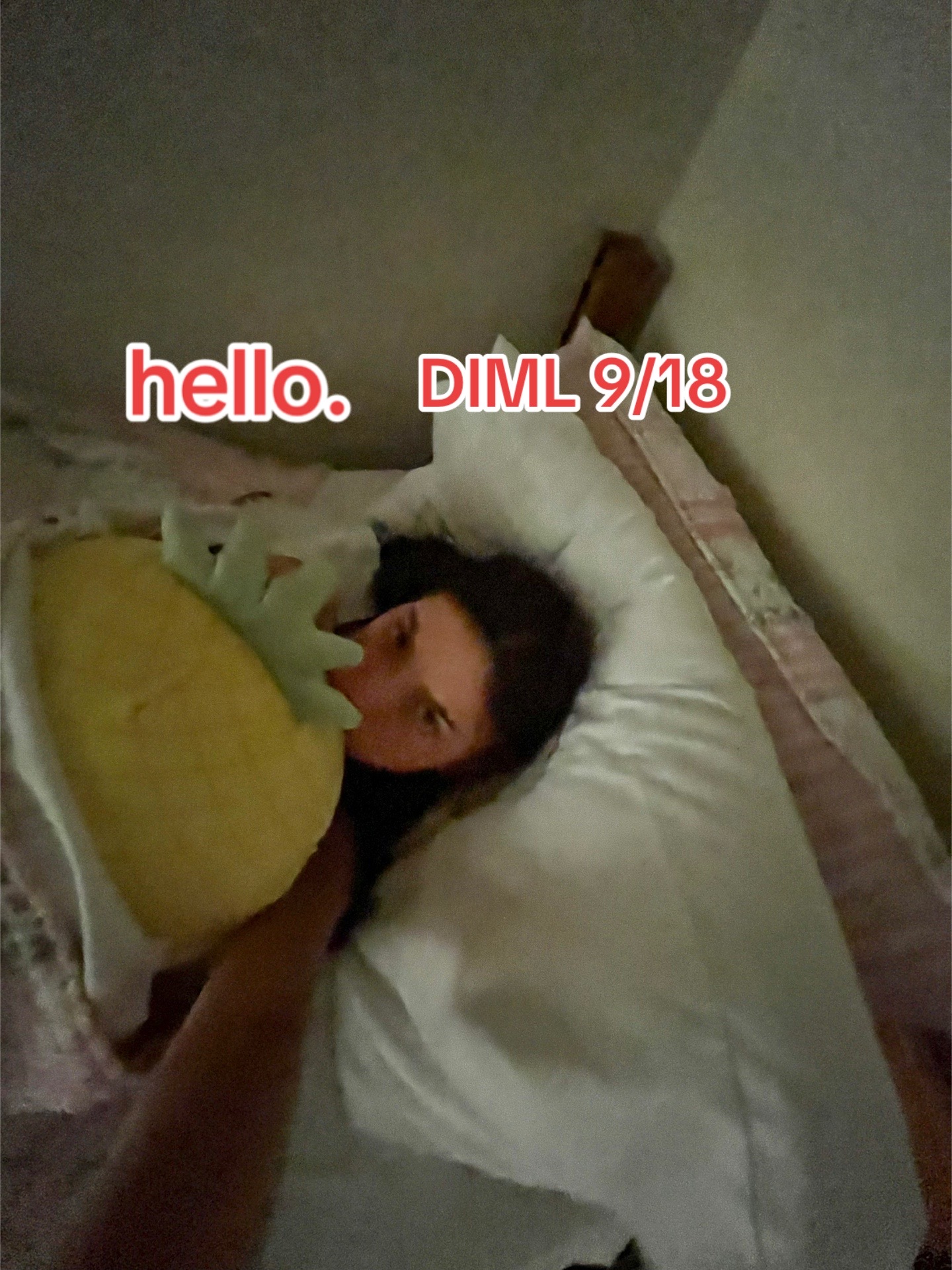 @katiekat3611
