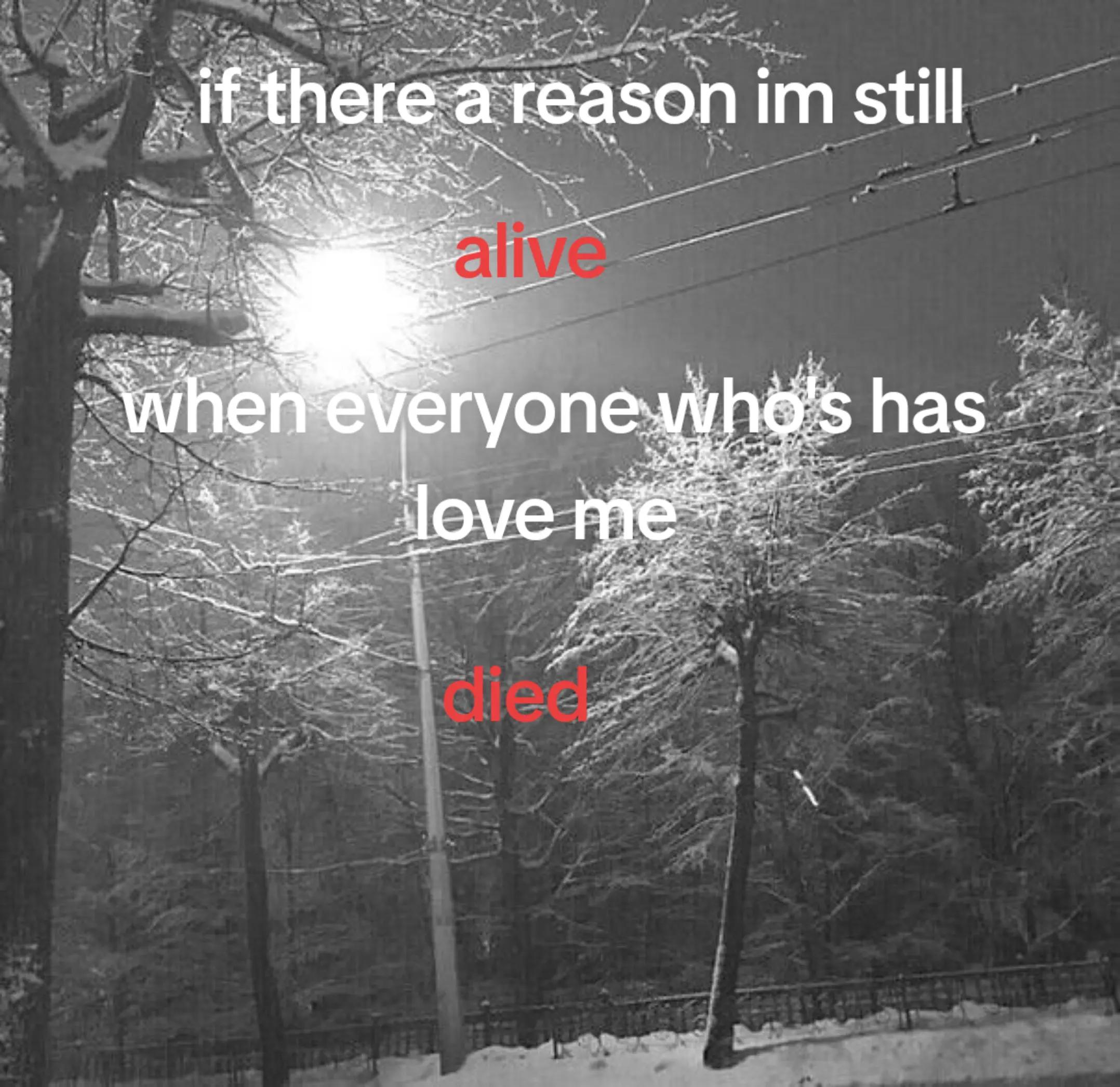 @꧁༺ 𝑺𝒍𝒚》𝑨𝒛𝒖𝒍 ༻꧂