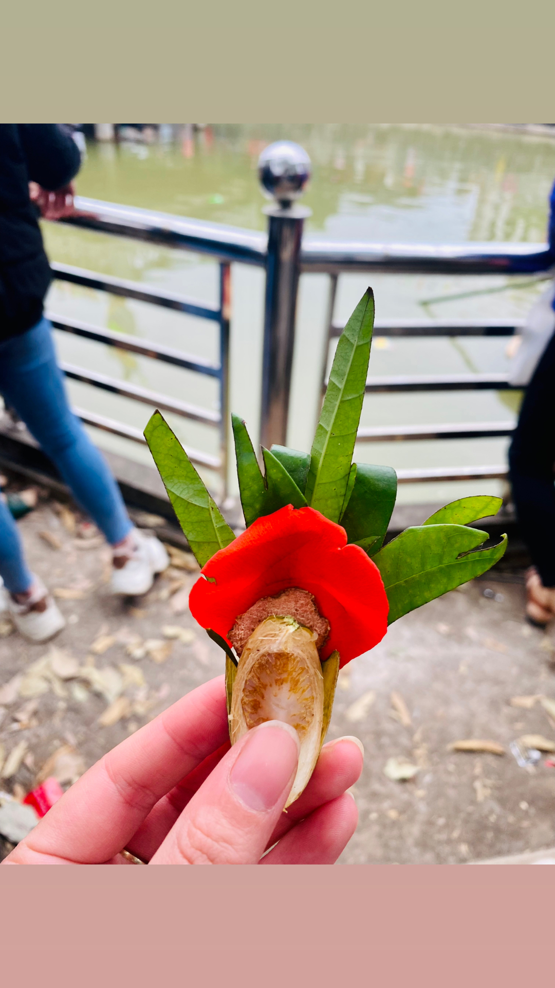 @Anh Nghĩa ⚜️