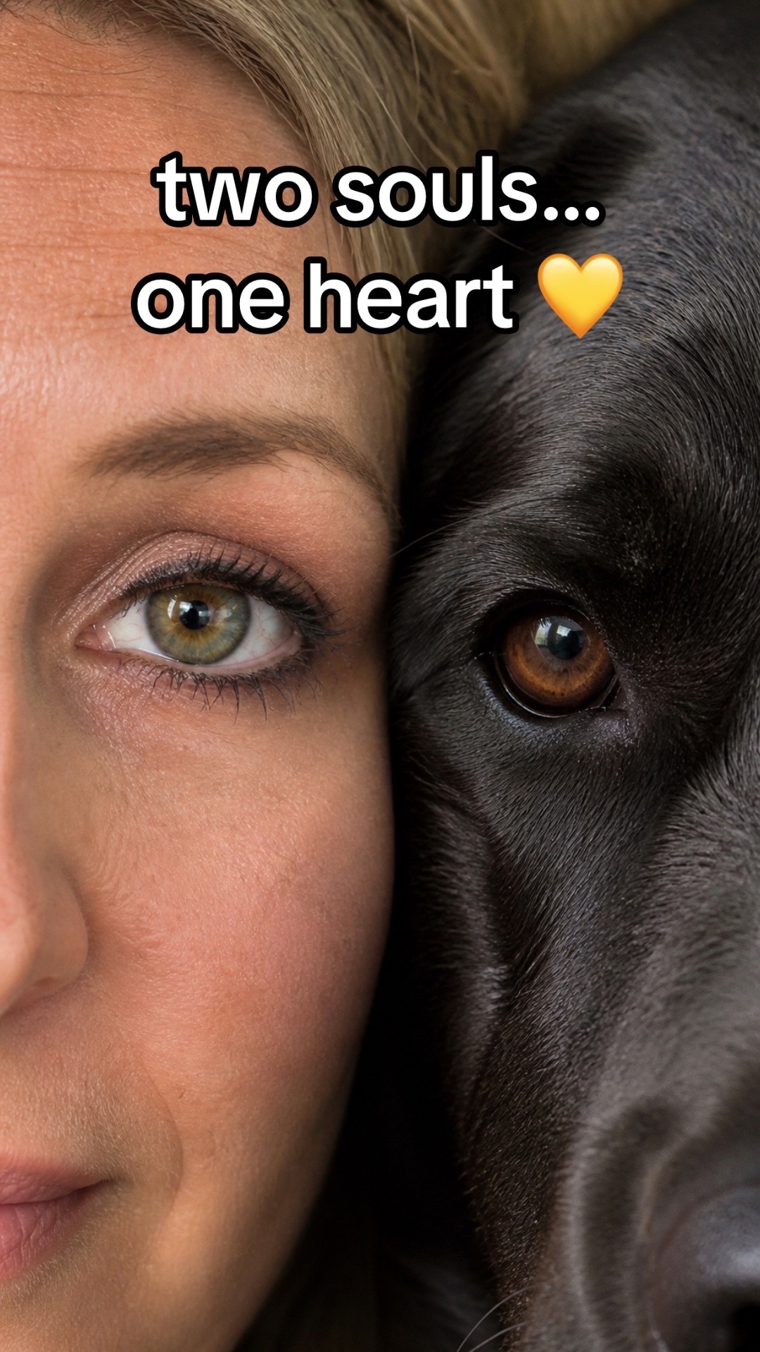 @DennisTheBlackLab