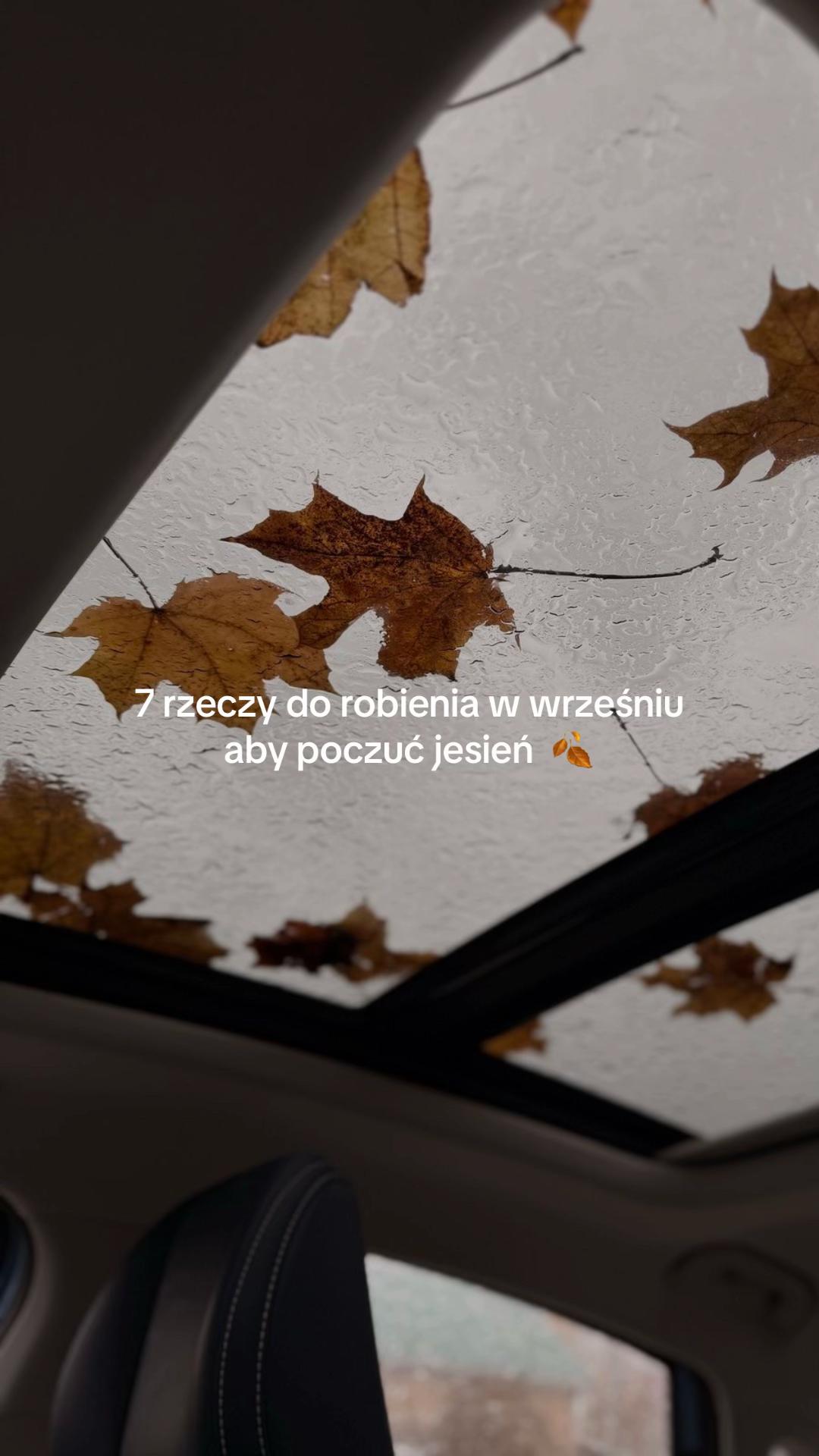@agnieszka klara
