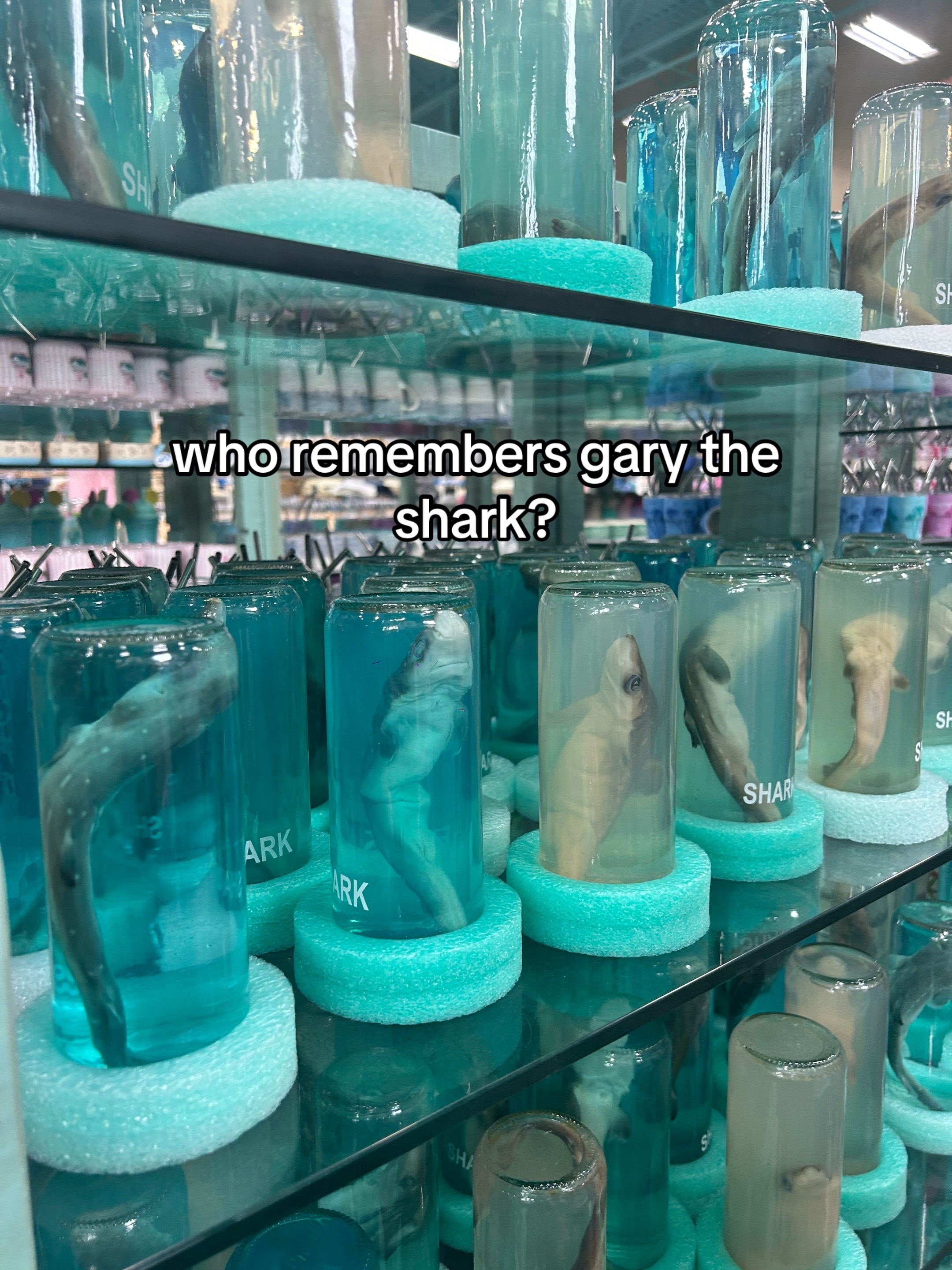 @𝓕𝓾𝓳𝓸𝓼𝓱𝓲