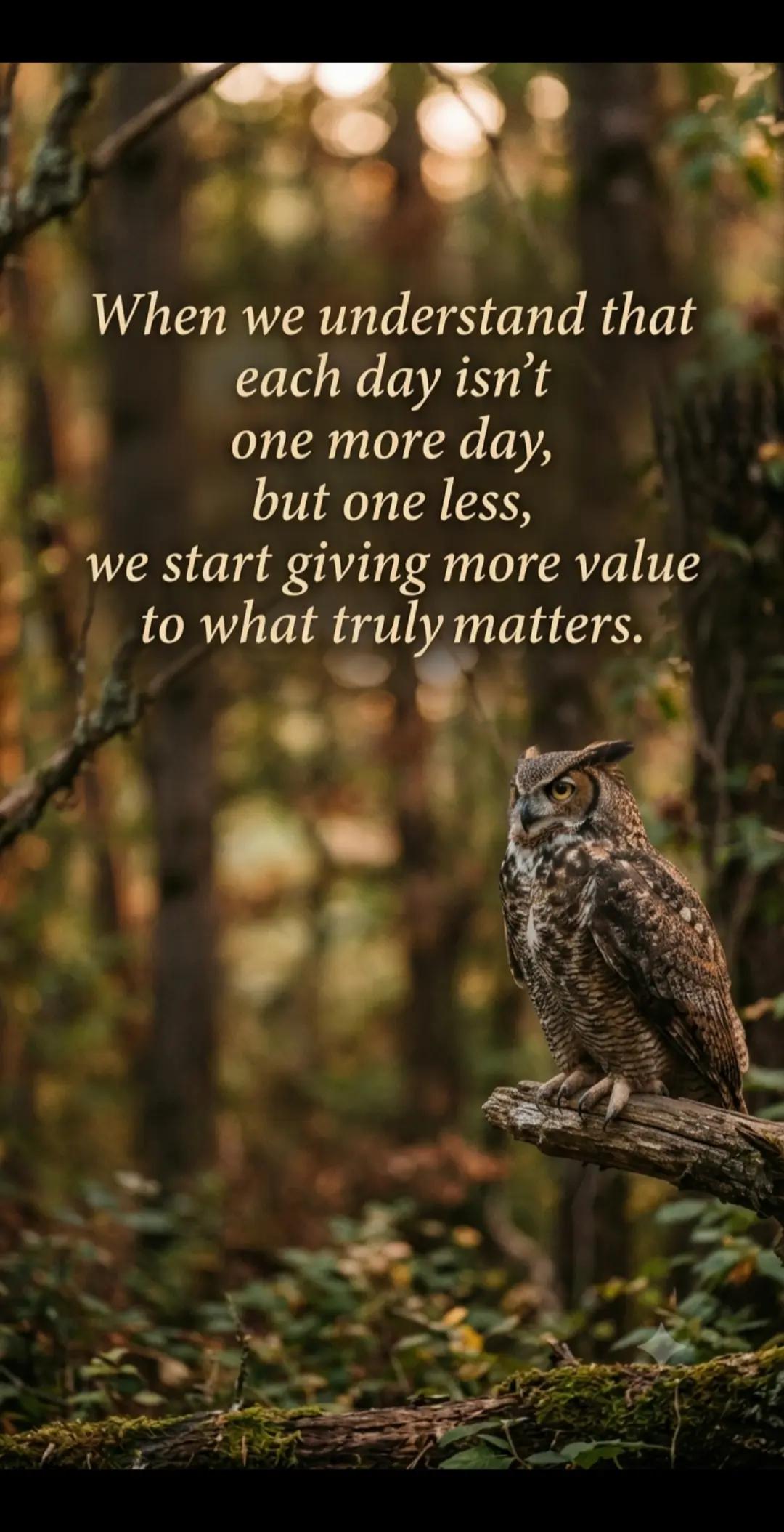 @Birddaddy🦜🦉🦅