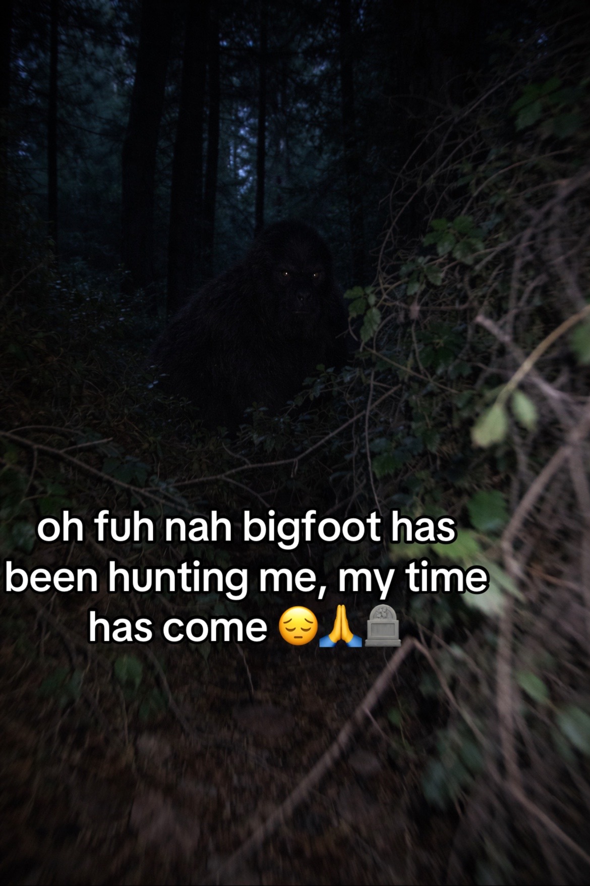 @zane