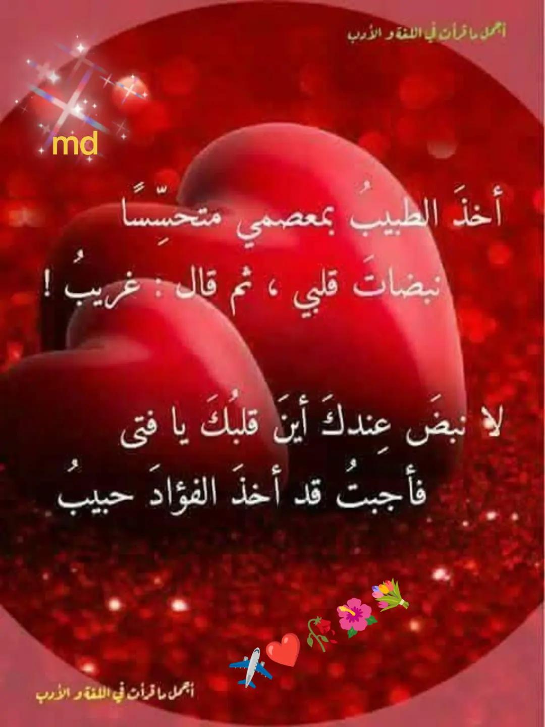@mondher debichi🇹🇳🇲🇫🫶🫶❤️