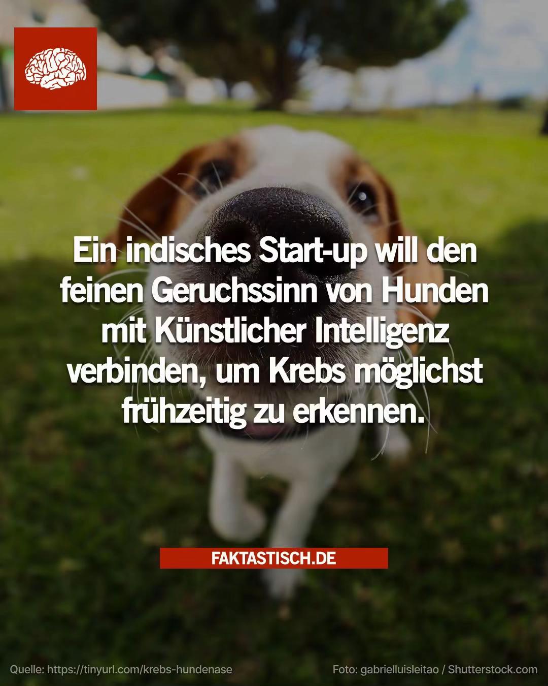 @Faktastisch