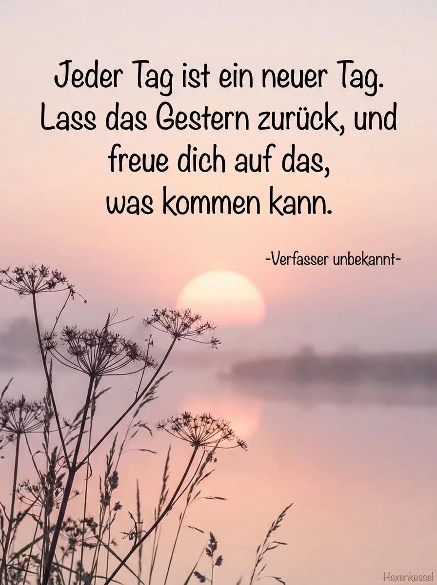 @🖤Stefan🤍Stolzer❤️Ossi😎