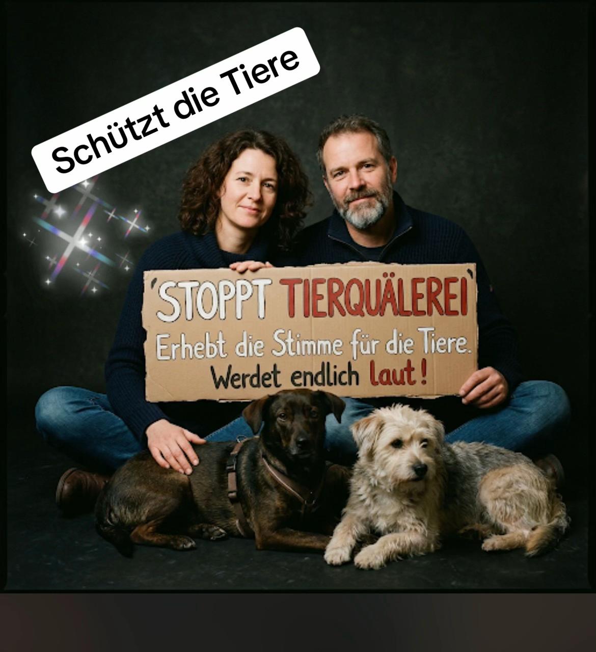 @Lua Team🐈🐕🦺Löwenherz❤️🦁