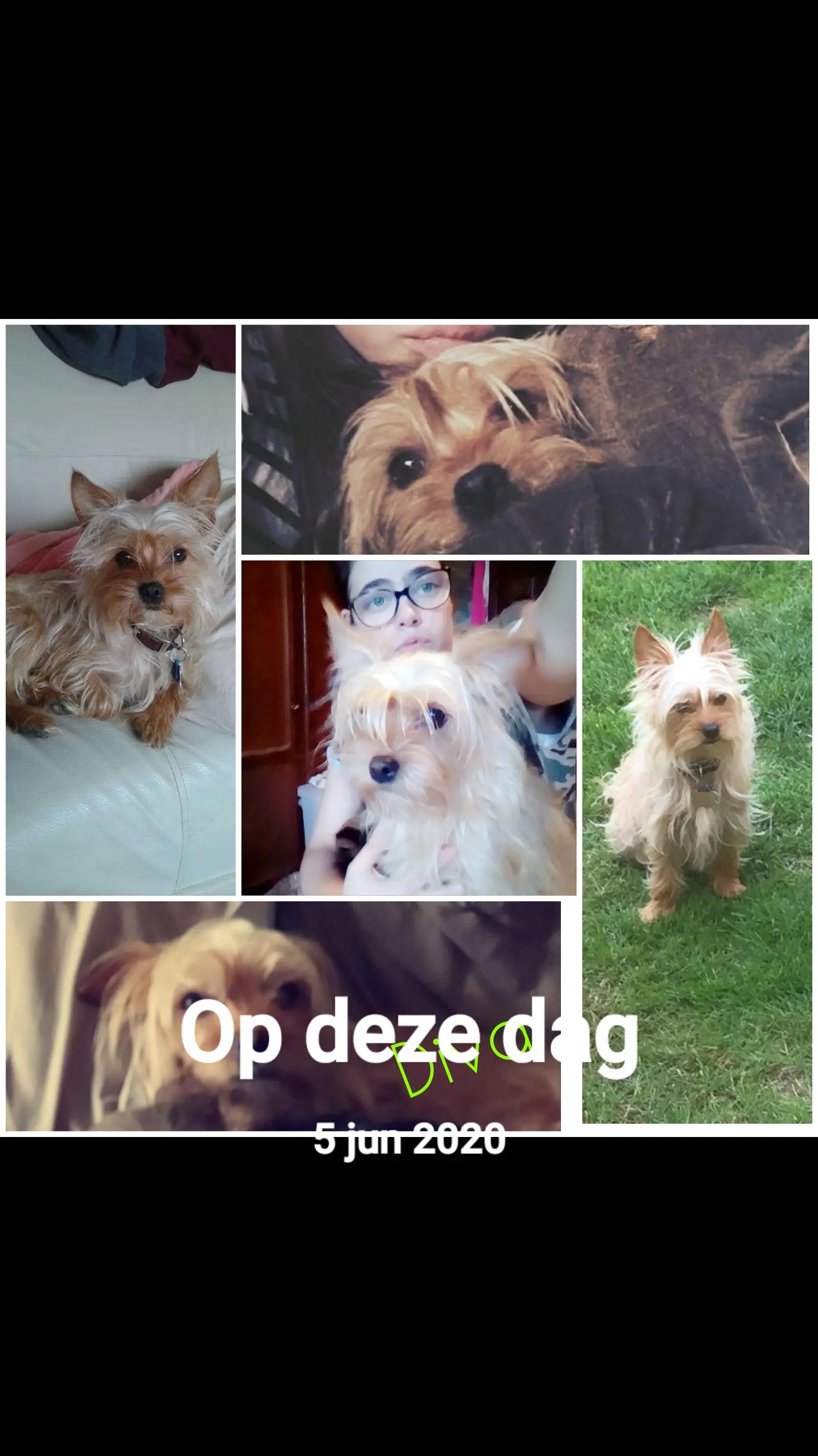 @Femke ❤️💓