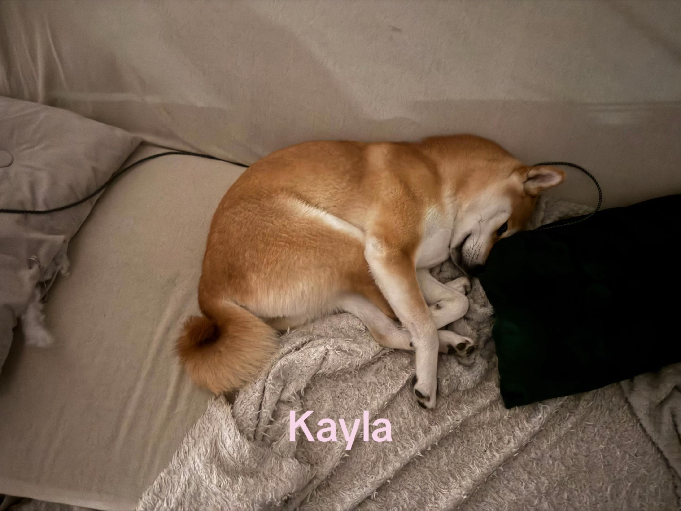 @Kayla