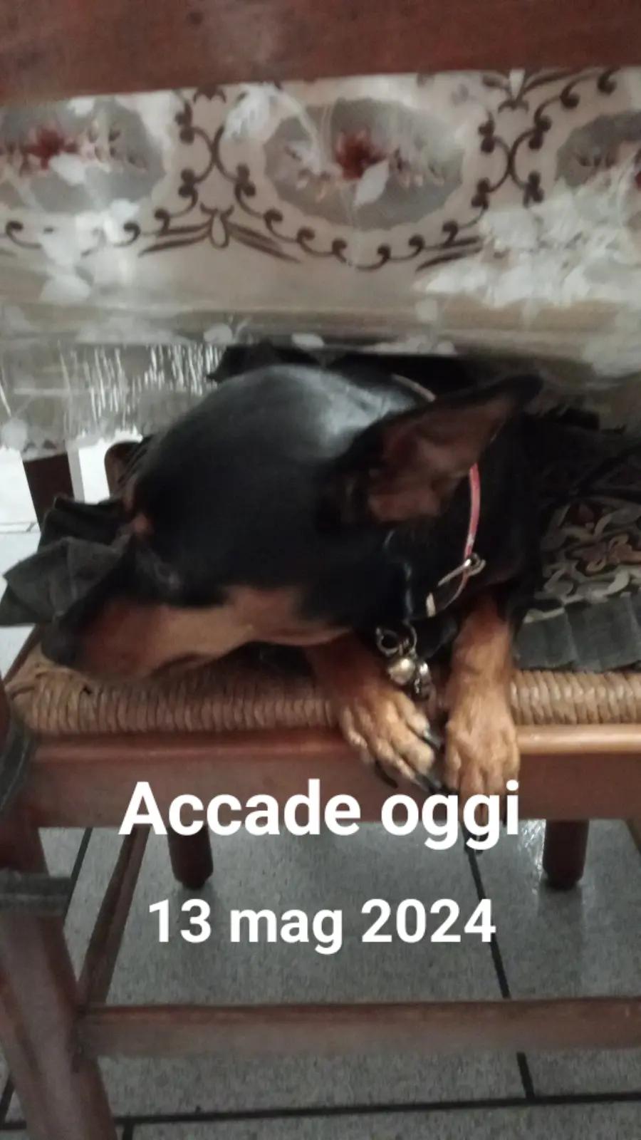 @lucry