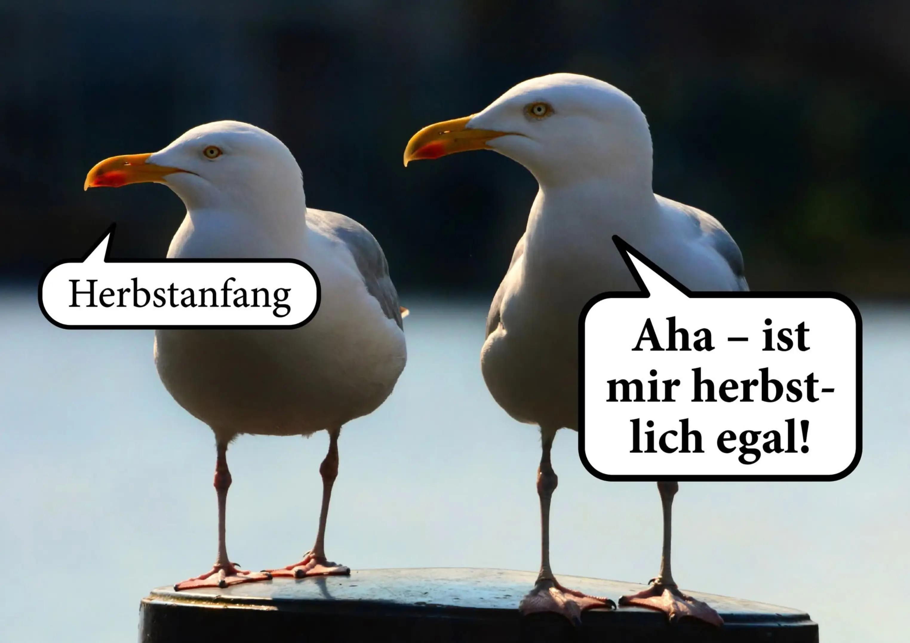 @Joker,s Aquarienwelt