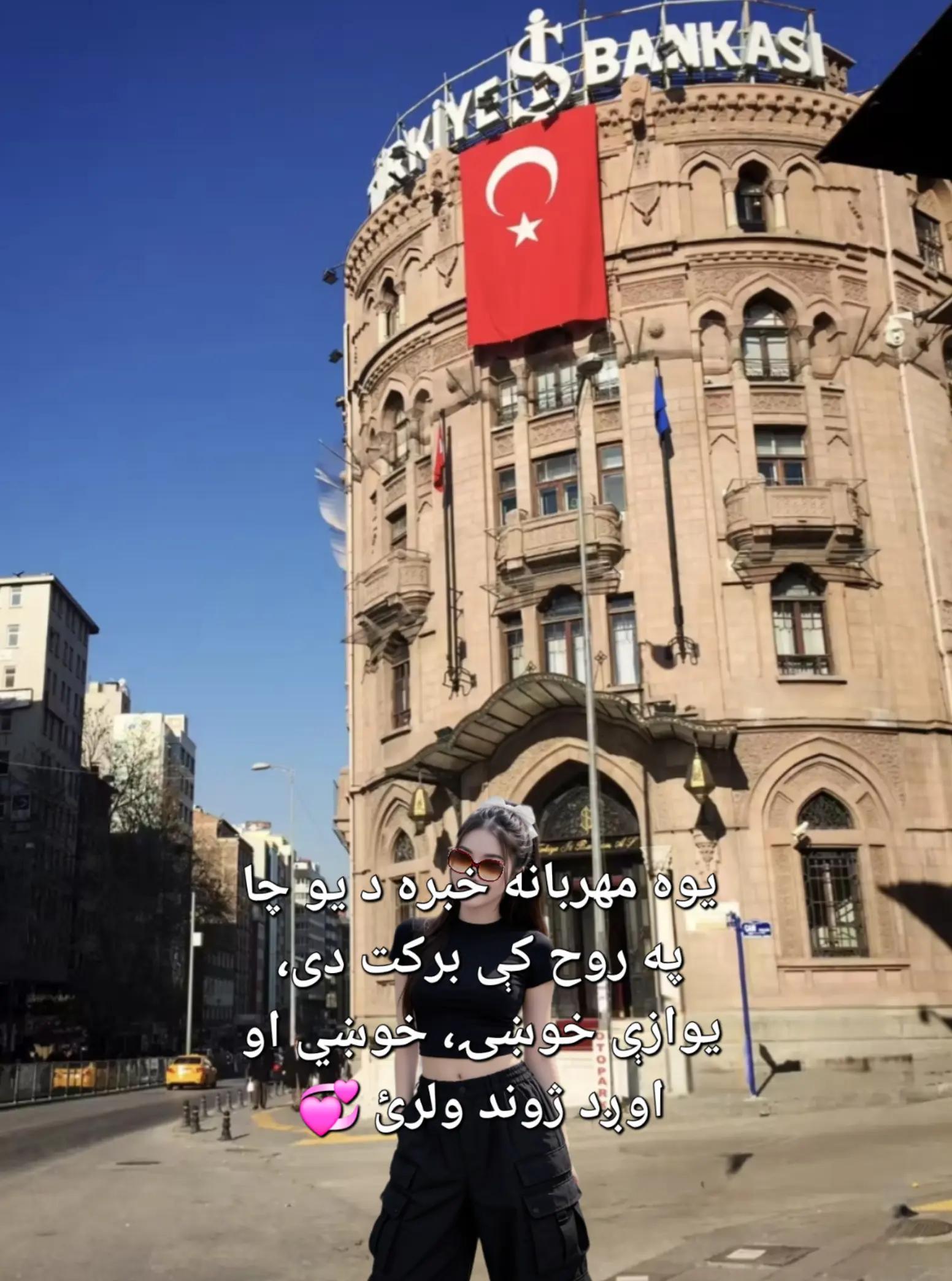 @Rodica Faisal
