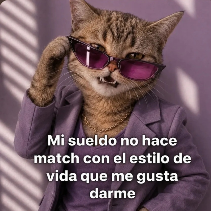 @el panda solitario