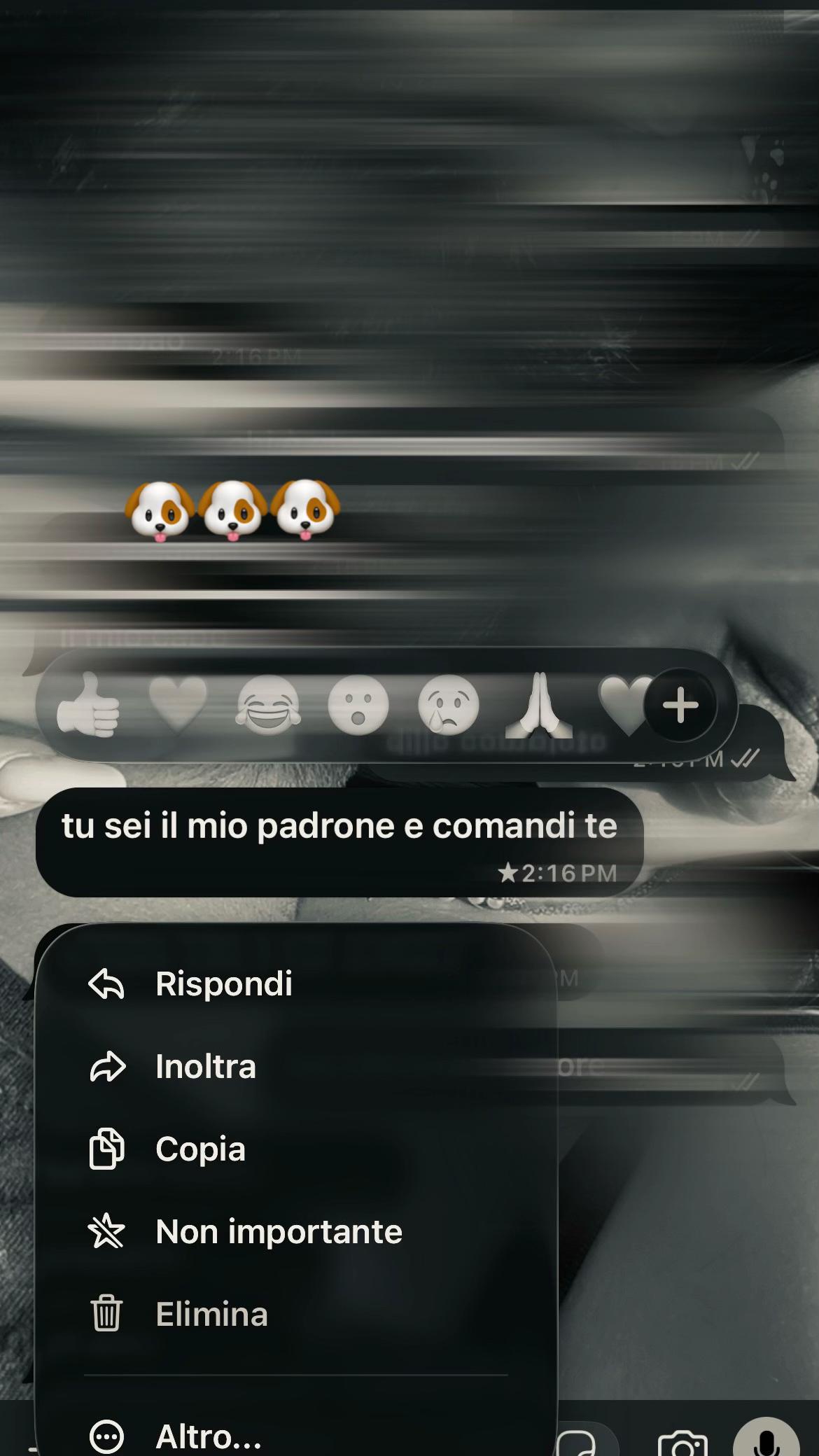 @bea_spammm💫
