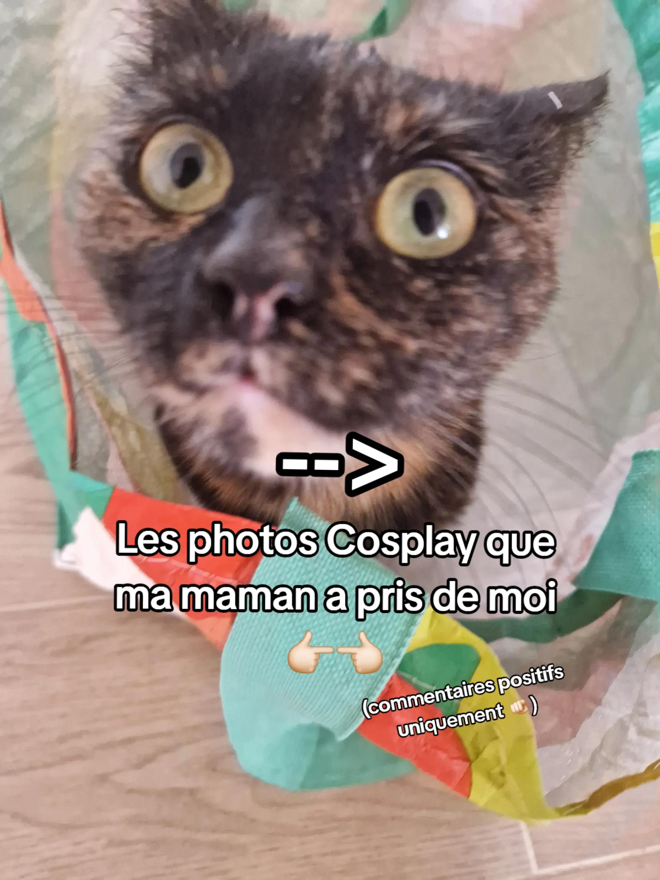 @Mushu