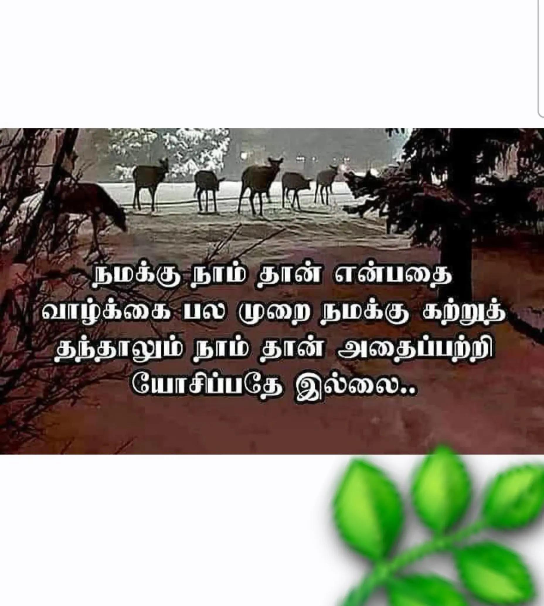 @sinna seeli