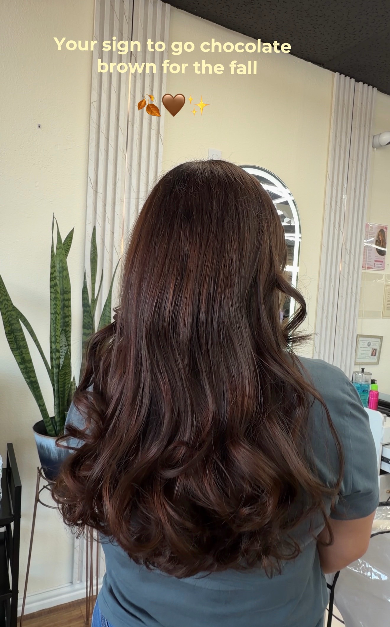 @Carolina hairstylist | DFW