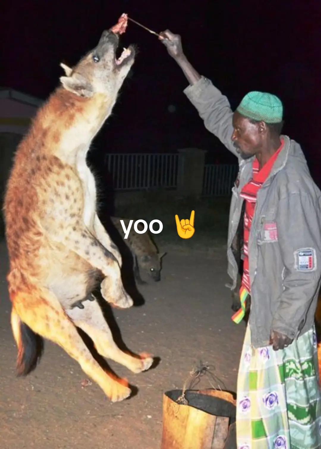 @AbrahamTheHyena🆒6️⃣9️⃣