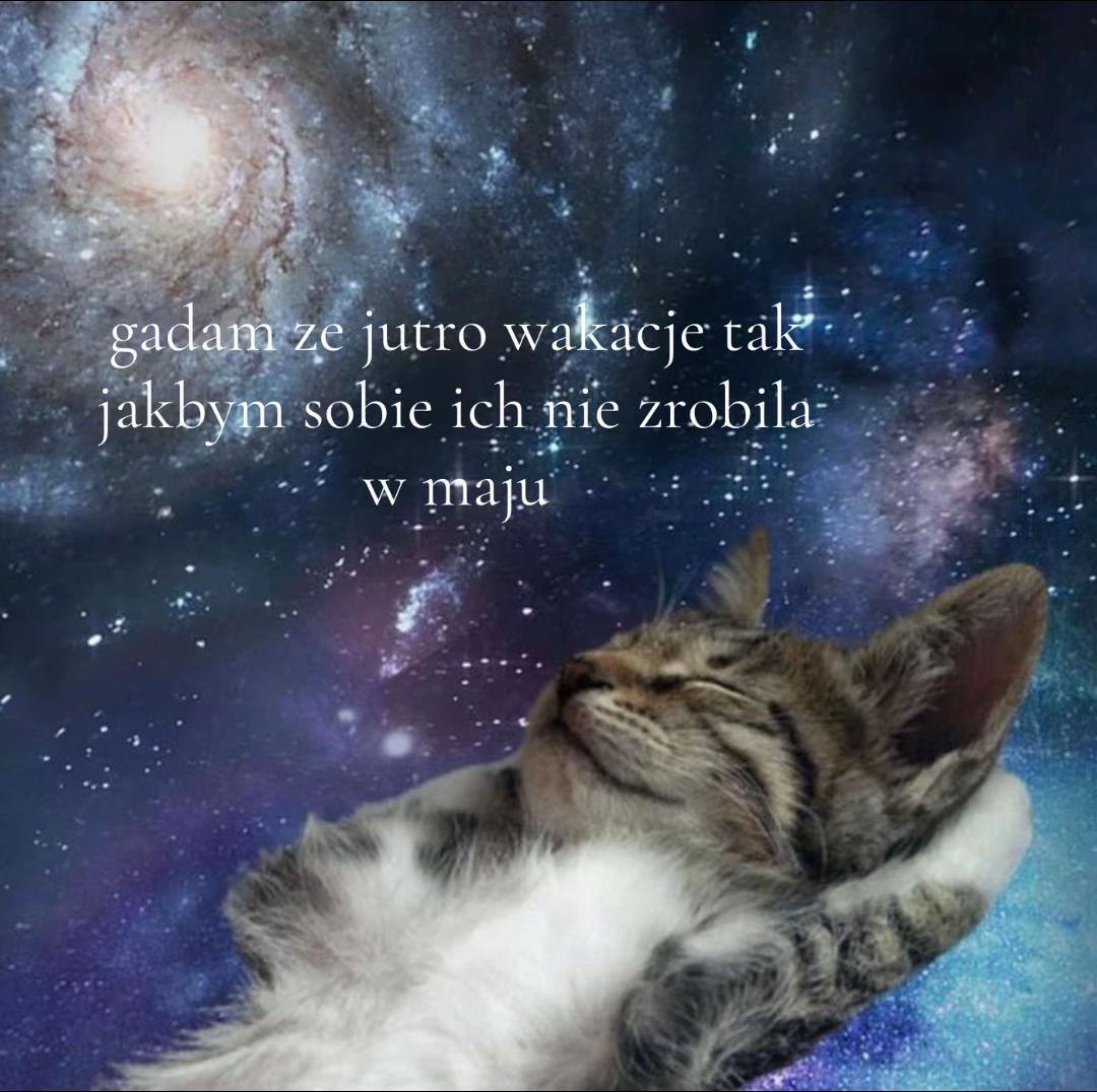 @weronika