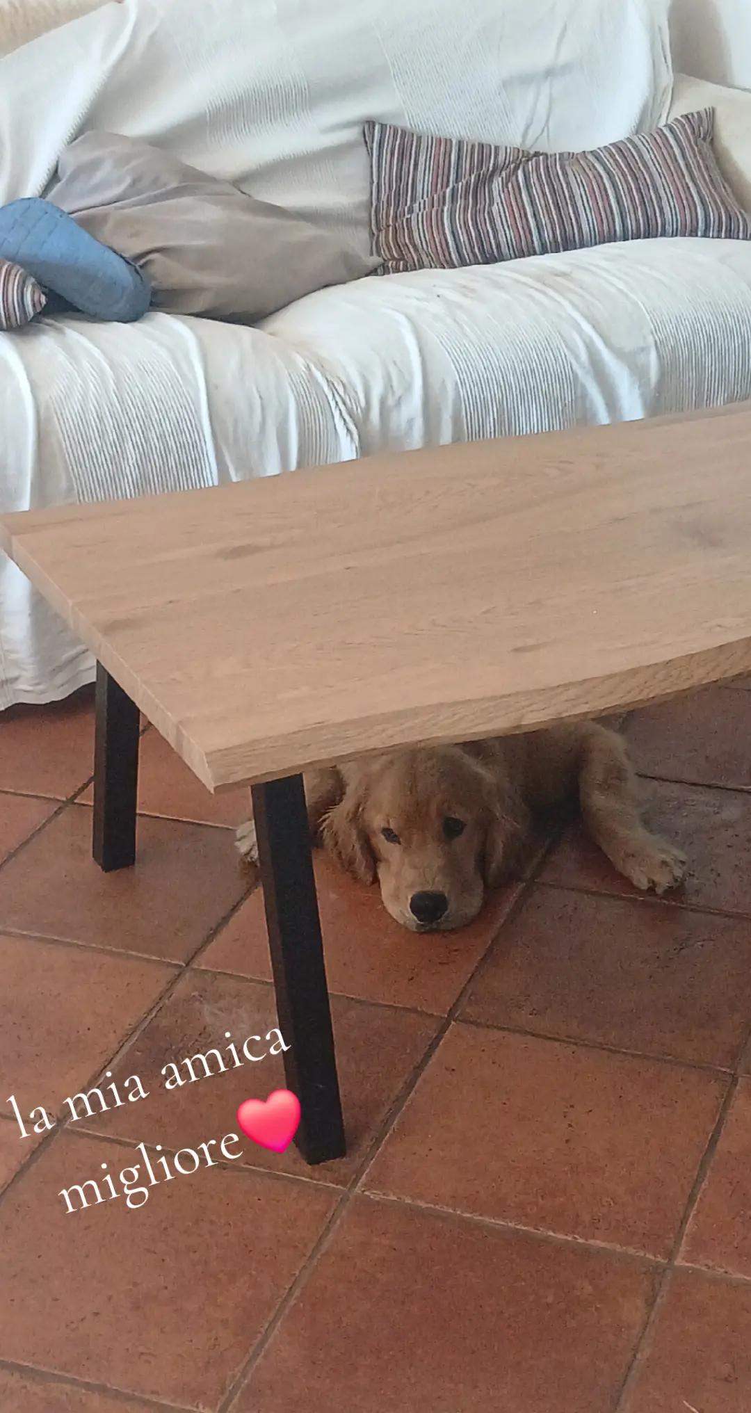 @Agata Pillera