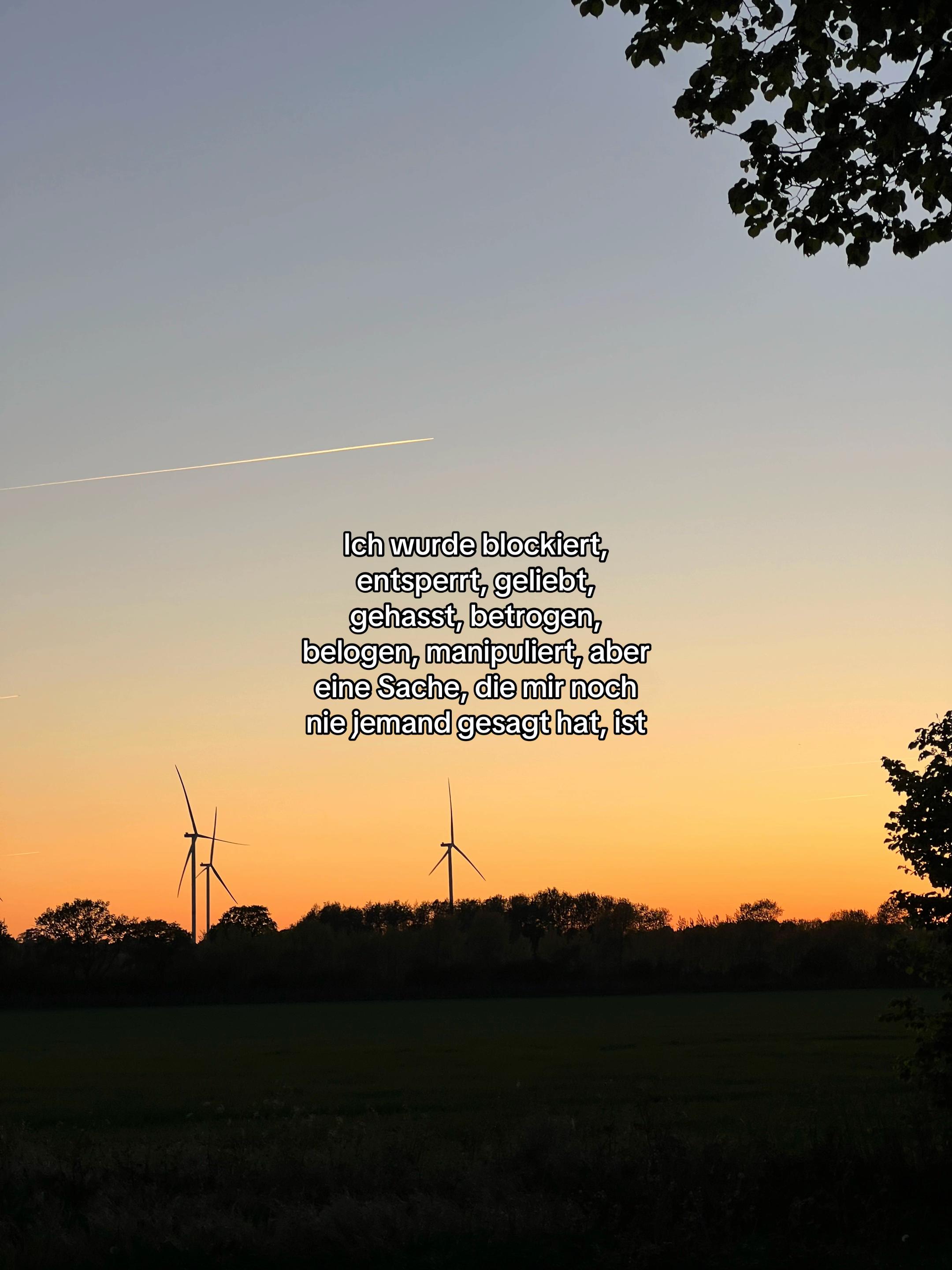 @✨Platon Gleichmann✨