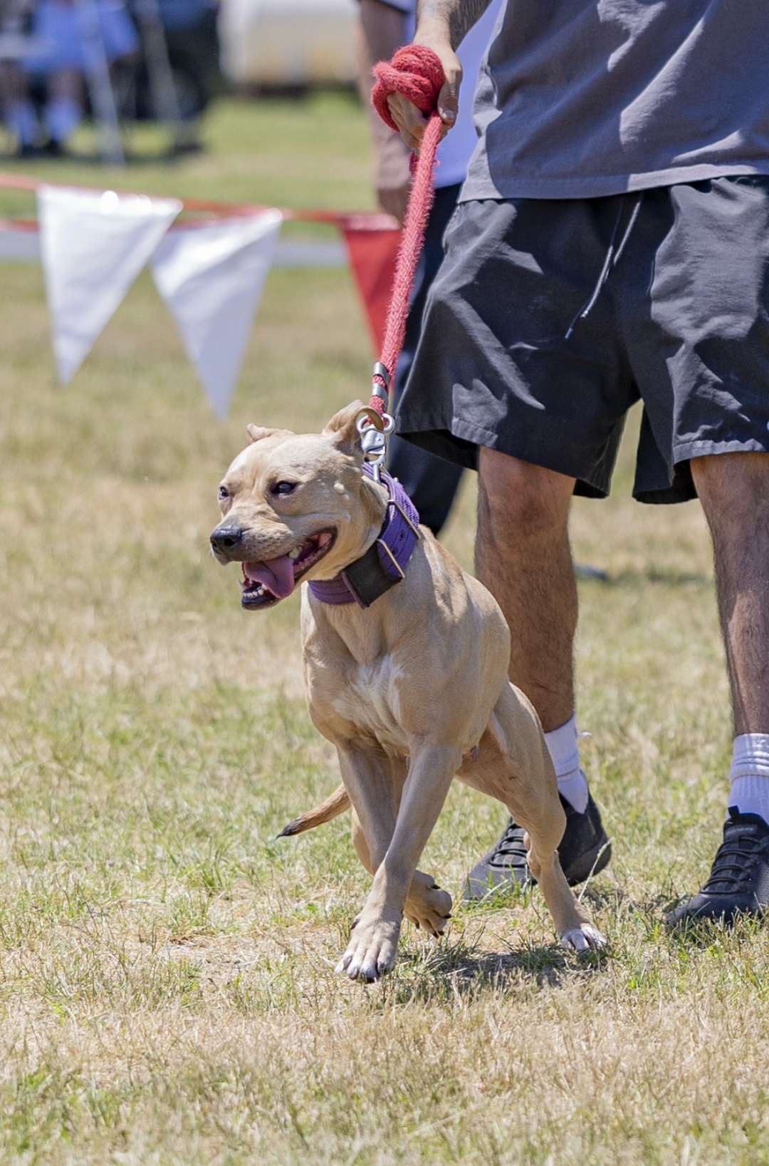 @Rocha_apbt