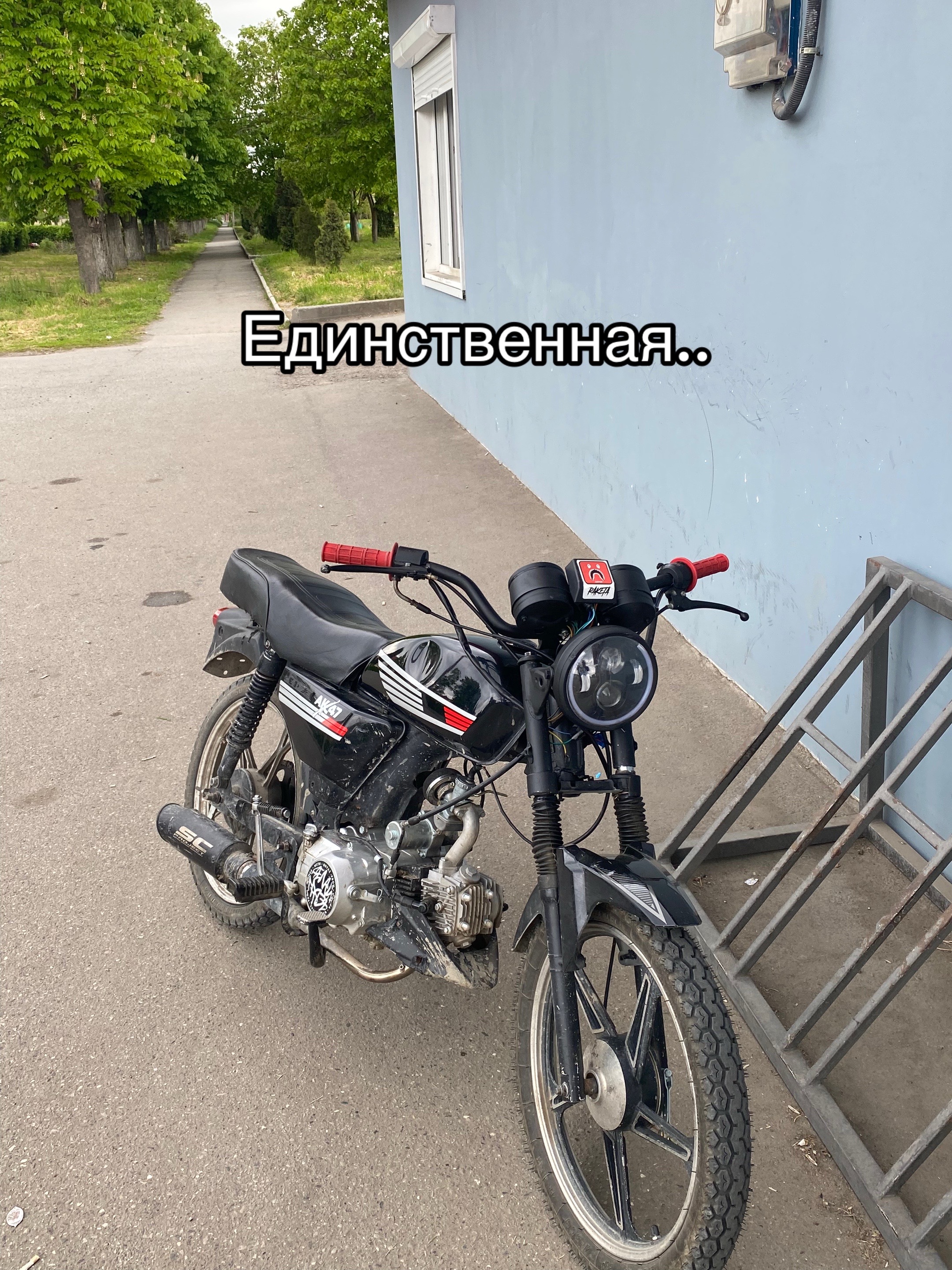 @Альфочка