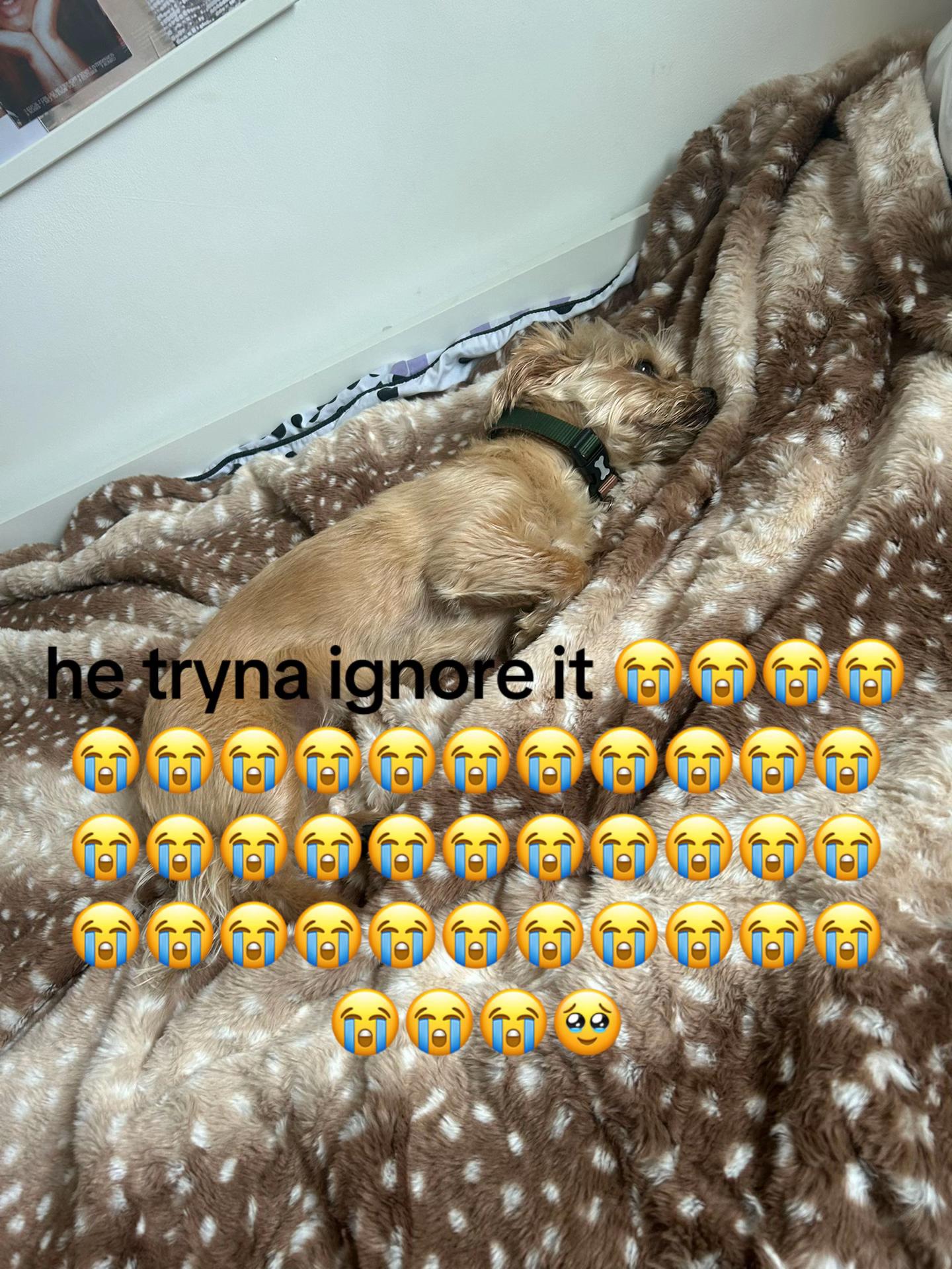 @🧁🧁🧁