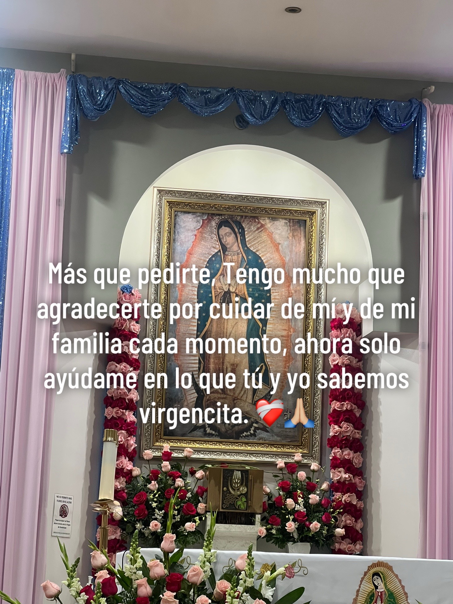 @Rocio Rico