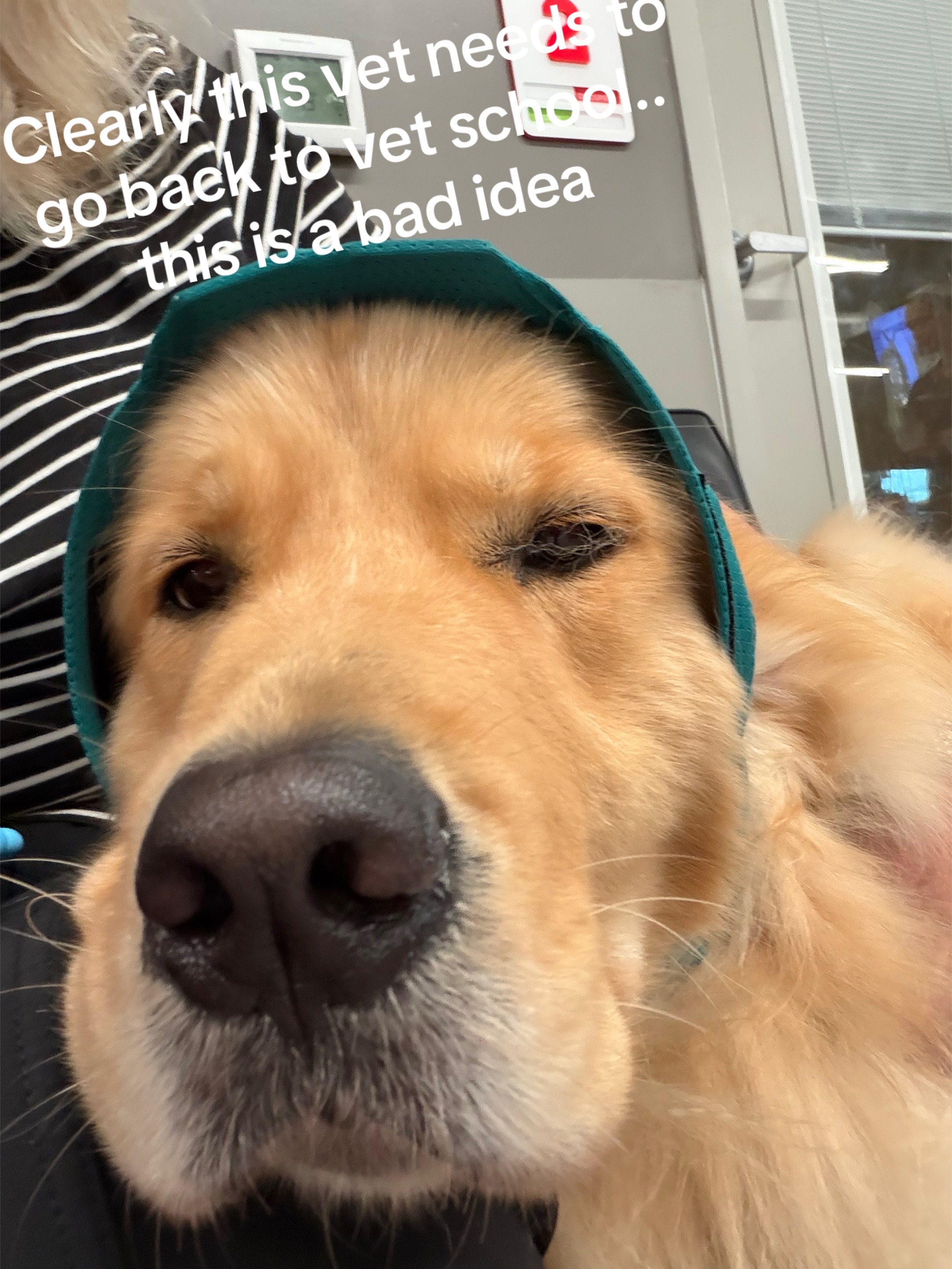@DogMomisms