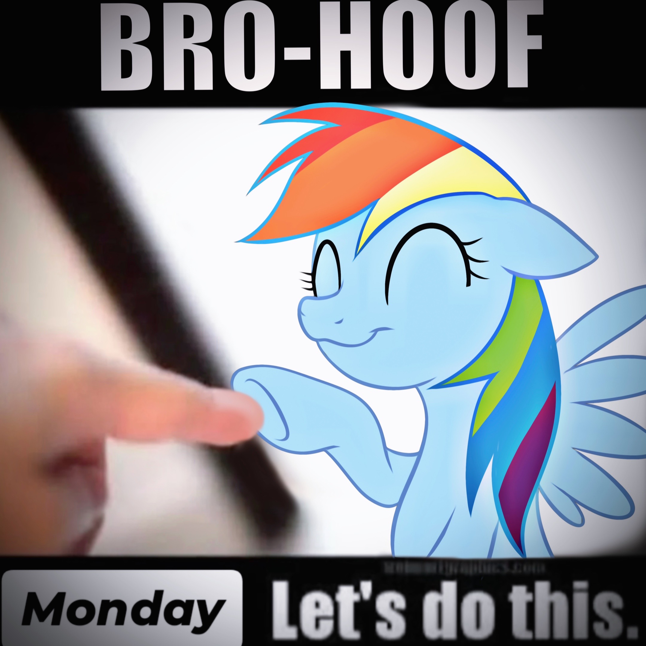 @𓃻crazypoop
