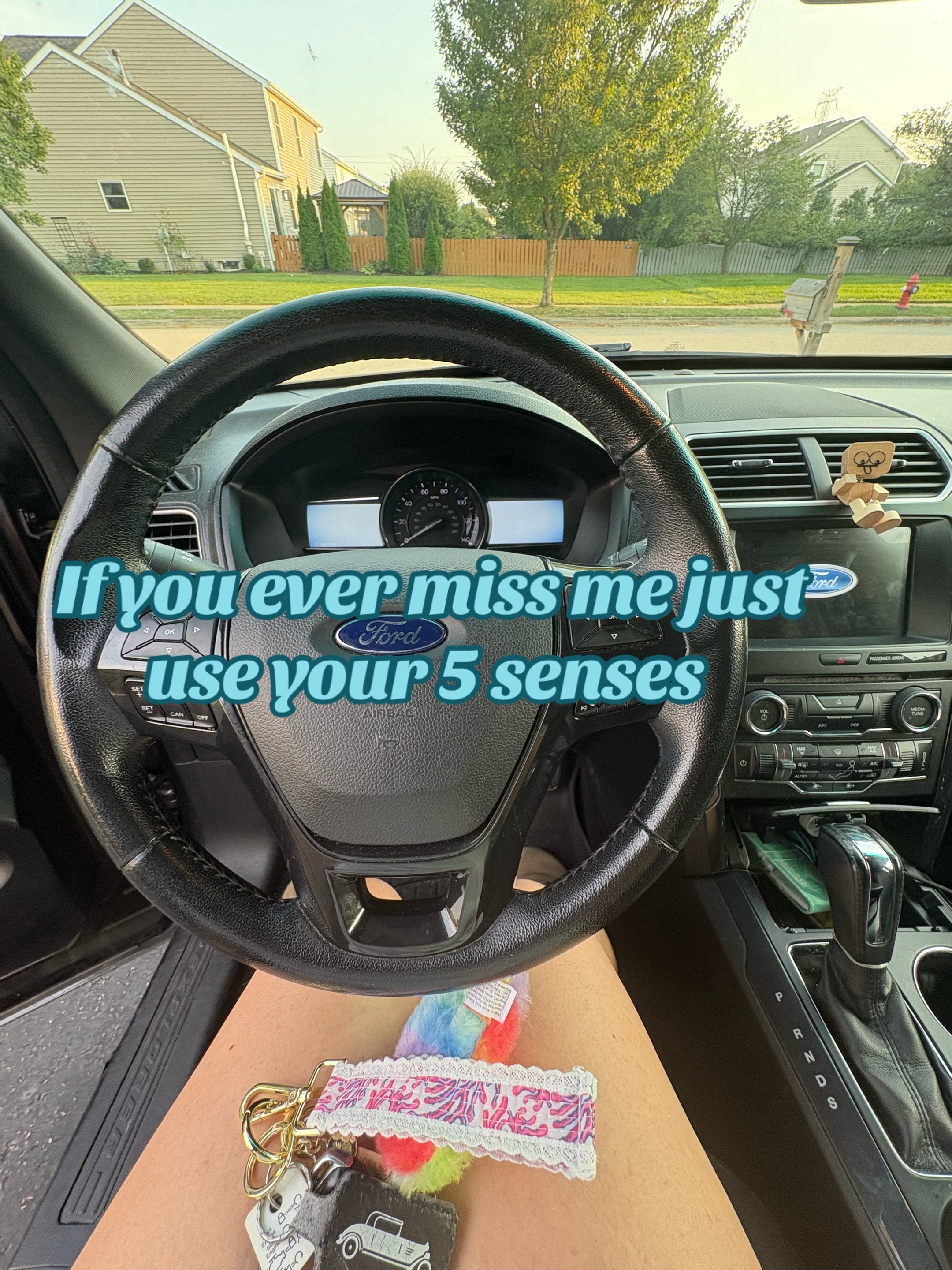 @🦨yd