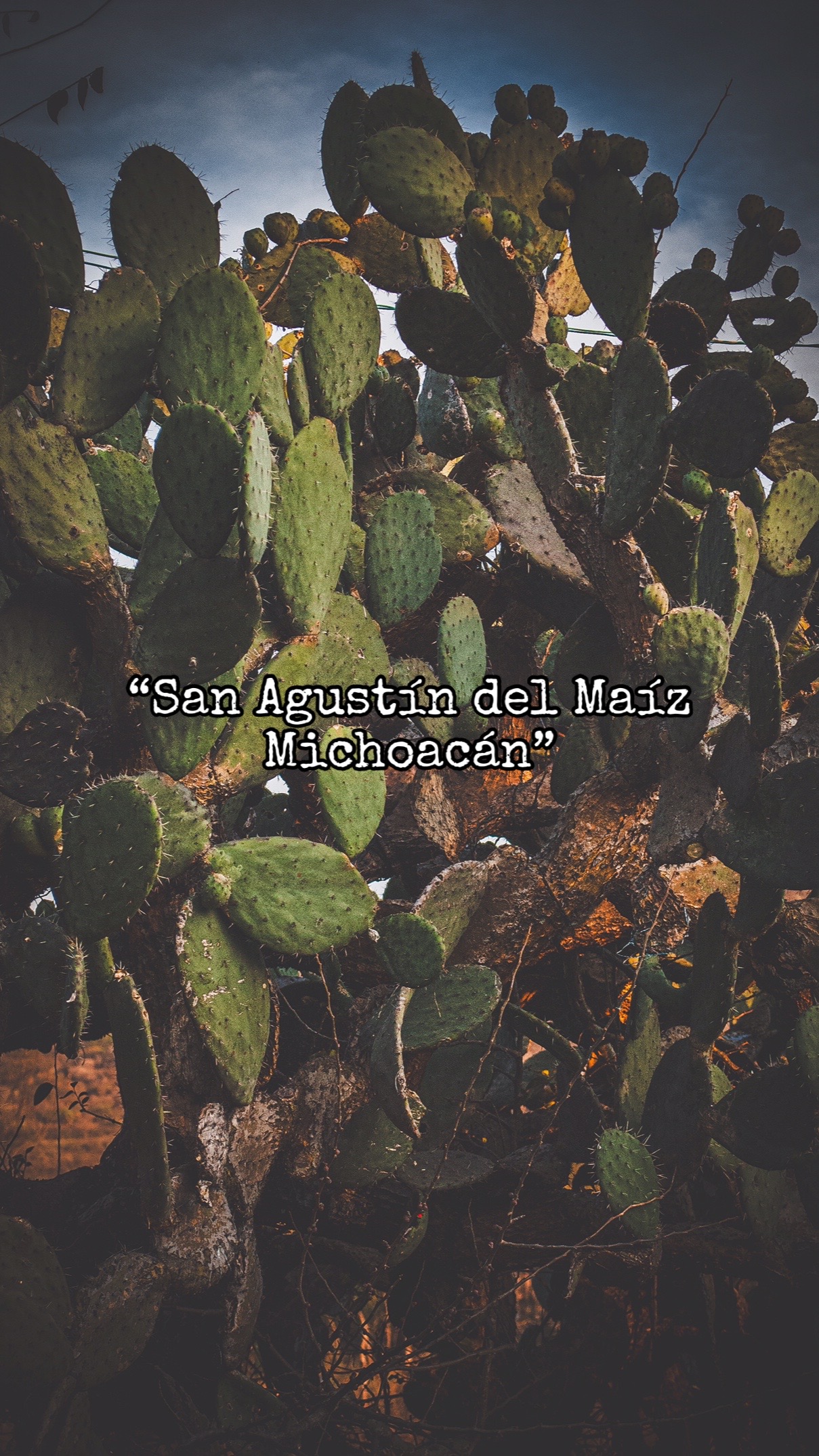 @San Agust&iacute;n Del Ma&iacute;z Oficial