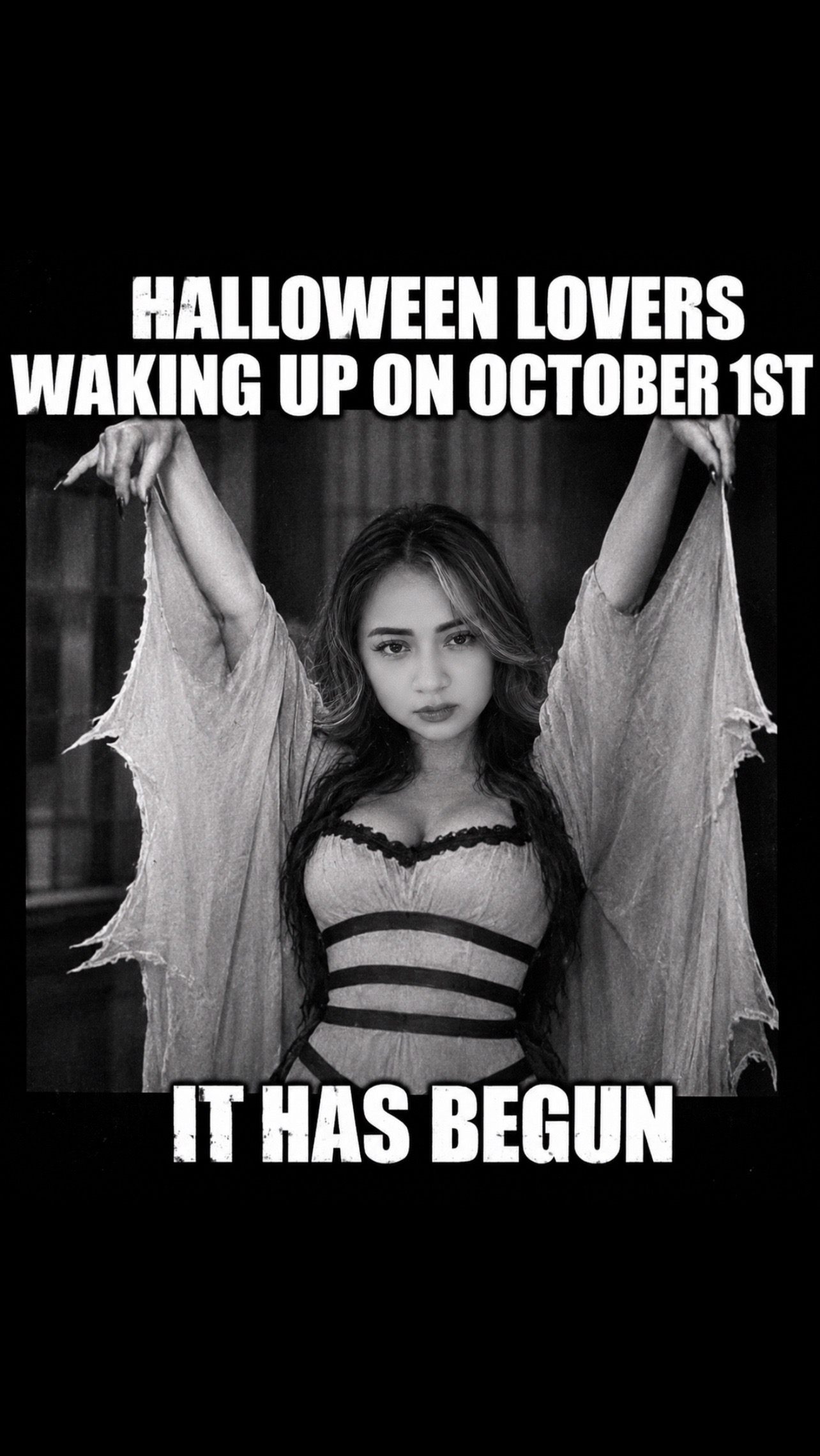 @Wingedkitten93