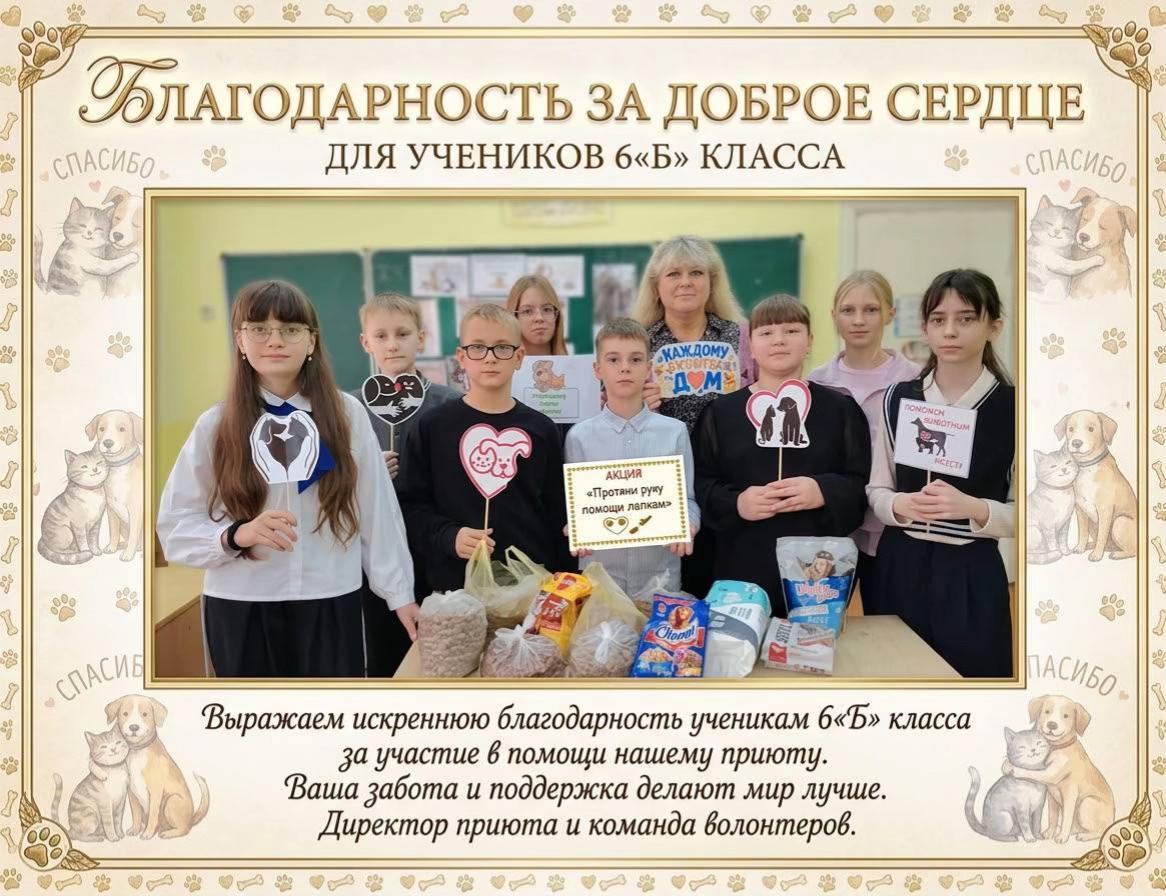@Директор «Песокот»250🐈🐶