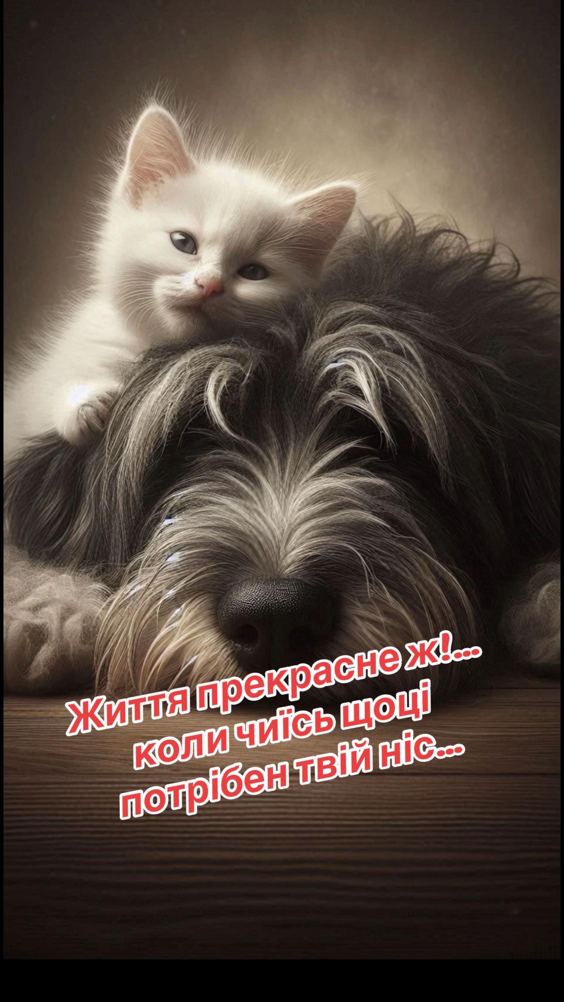 @pavlenok_k