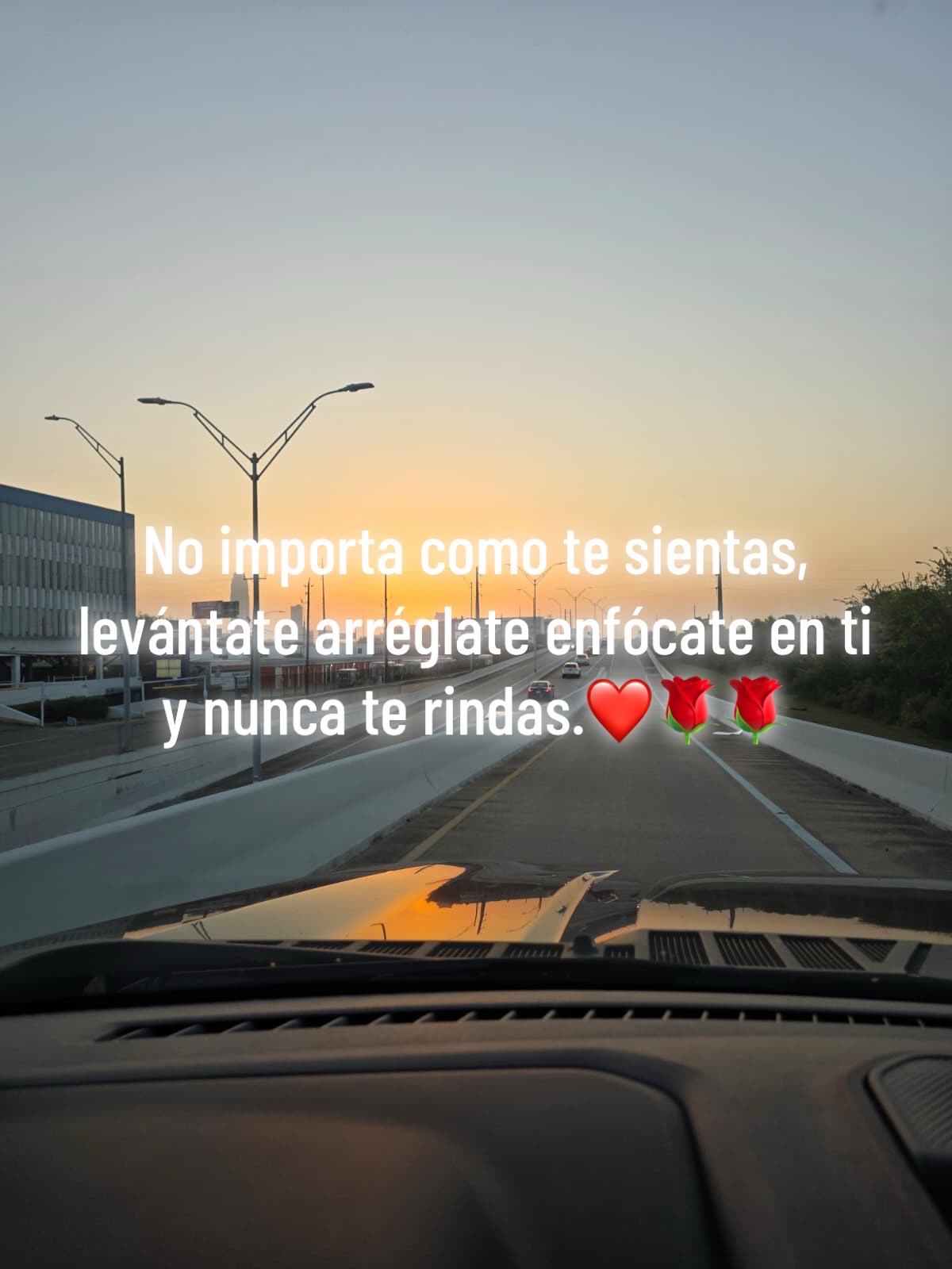 @🌹bulux