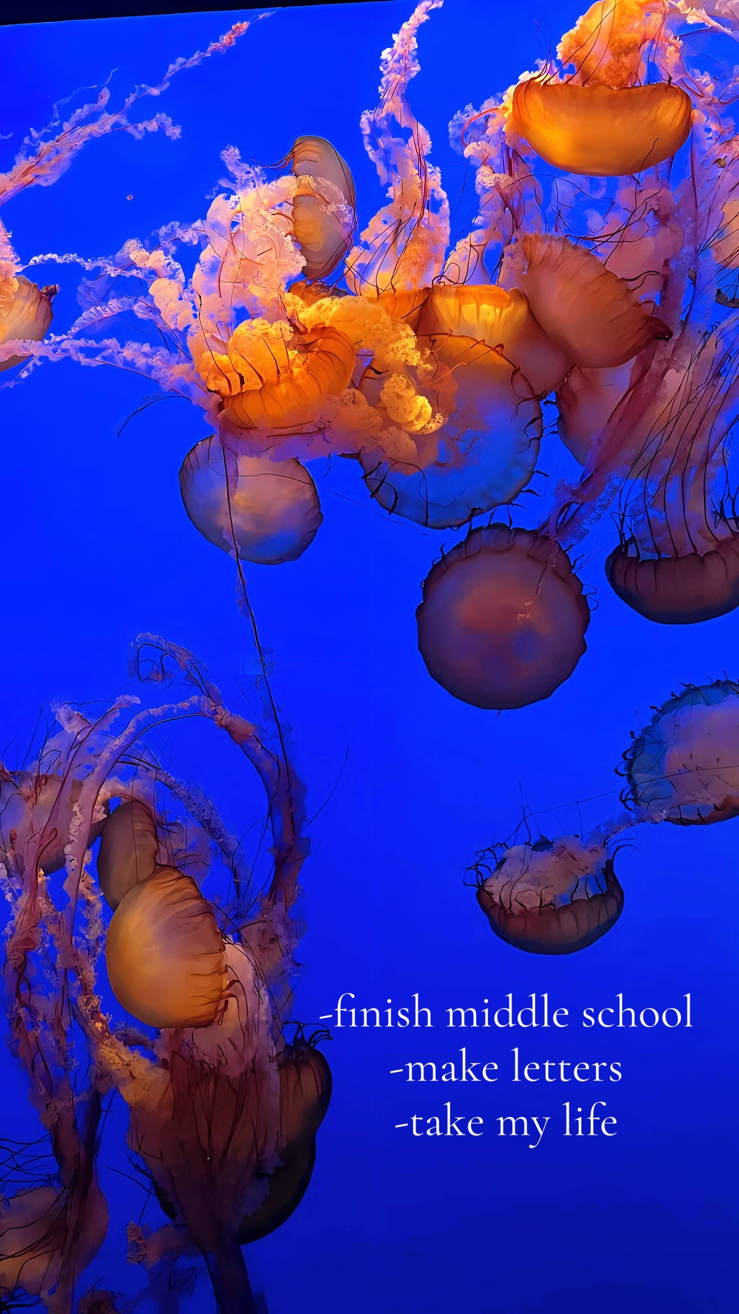 @꧁𝐄𝐥𝐢𝐚𝐧𝐚꧂