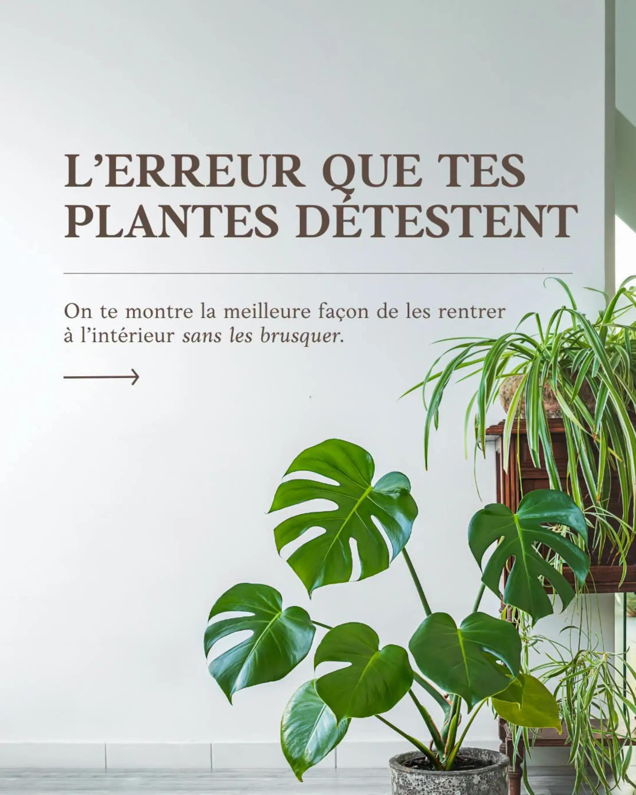 @L’Éphémère