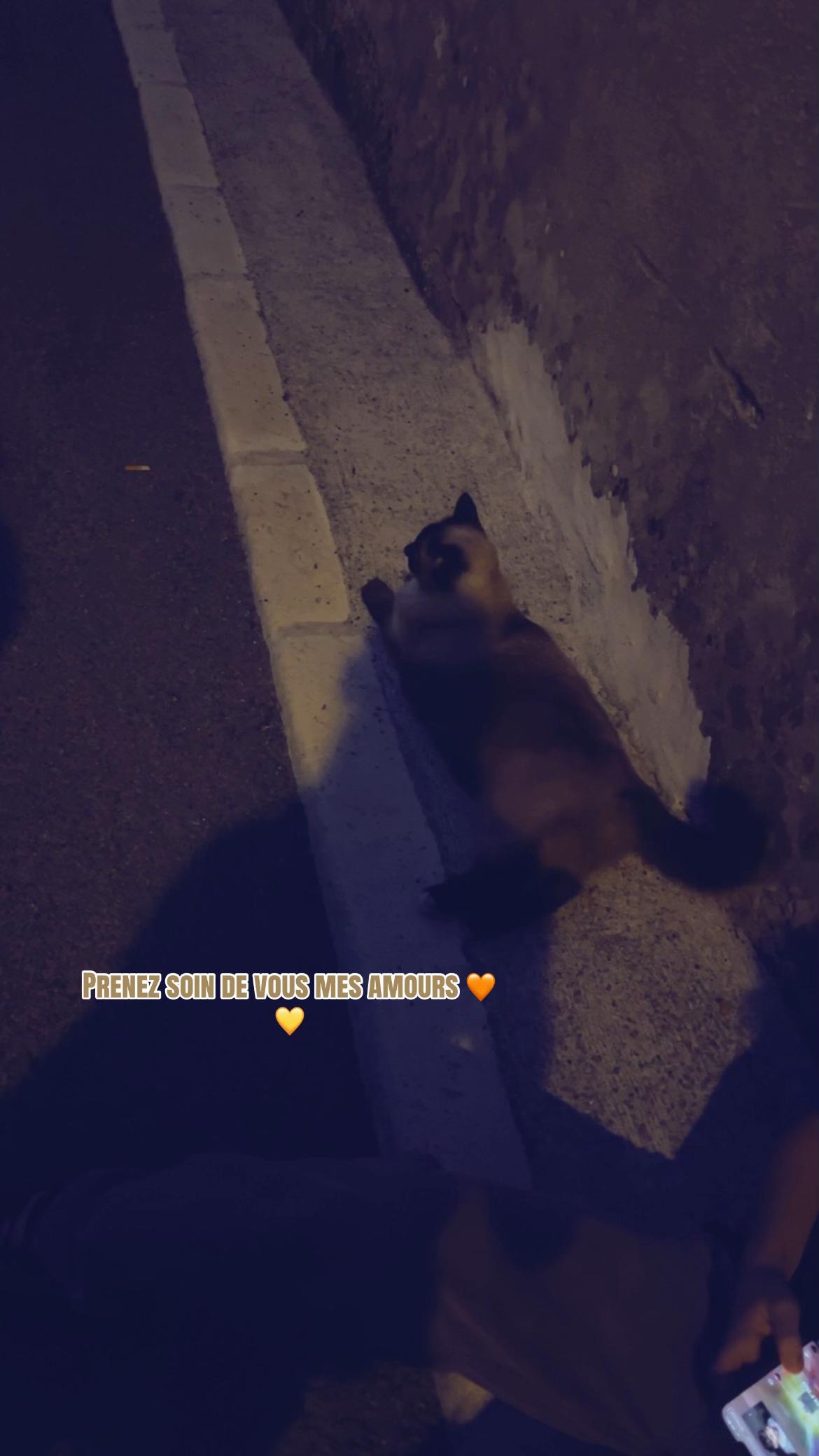 @𝑳_🇩🇿