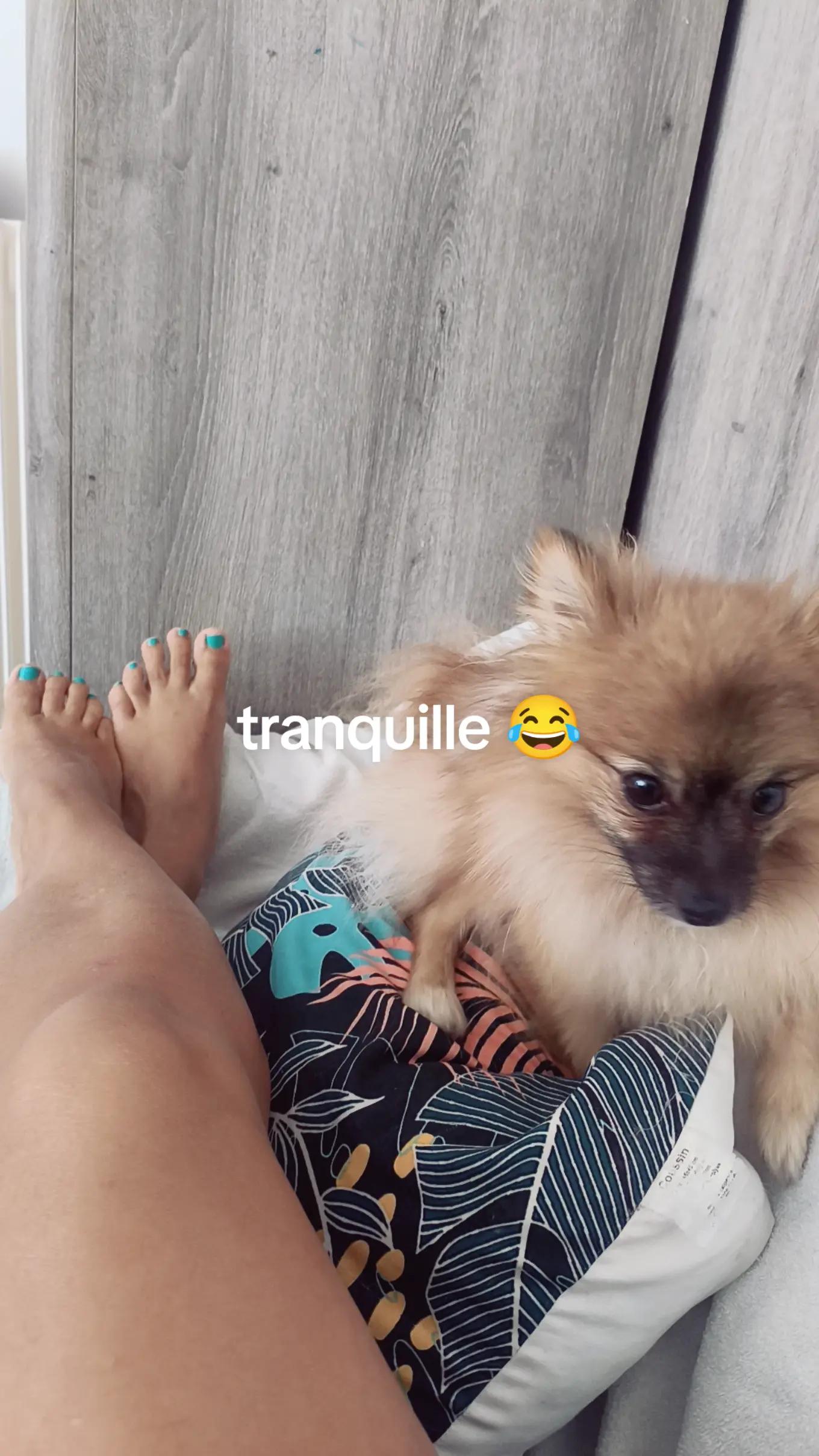 @bellastef