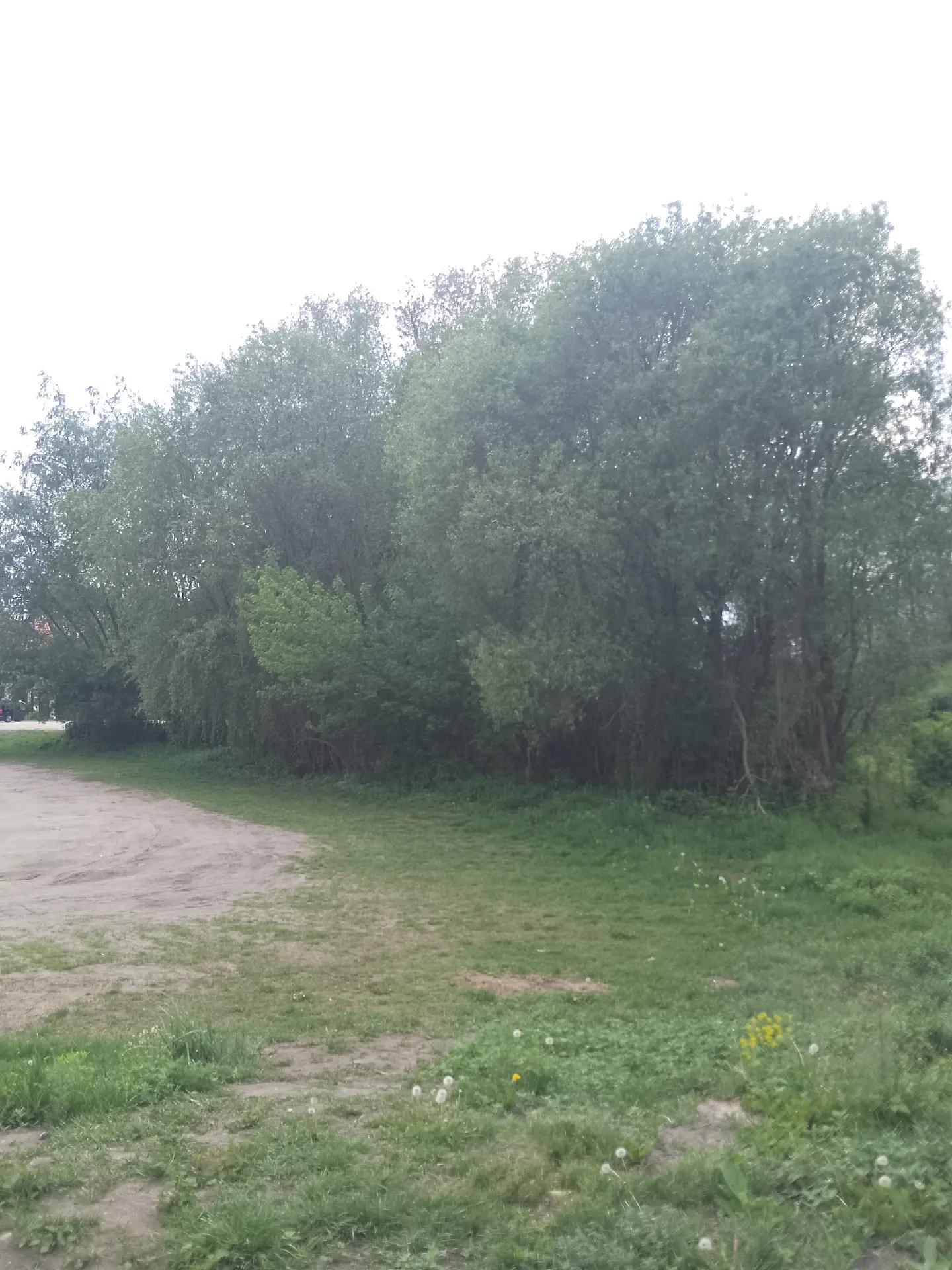 @пілігримІван Рябущиць